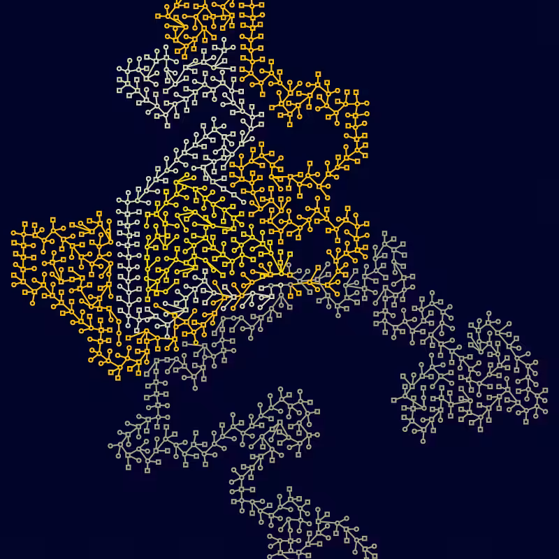 Networks #19