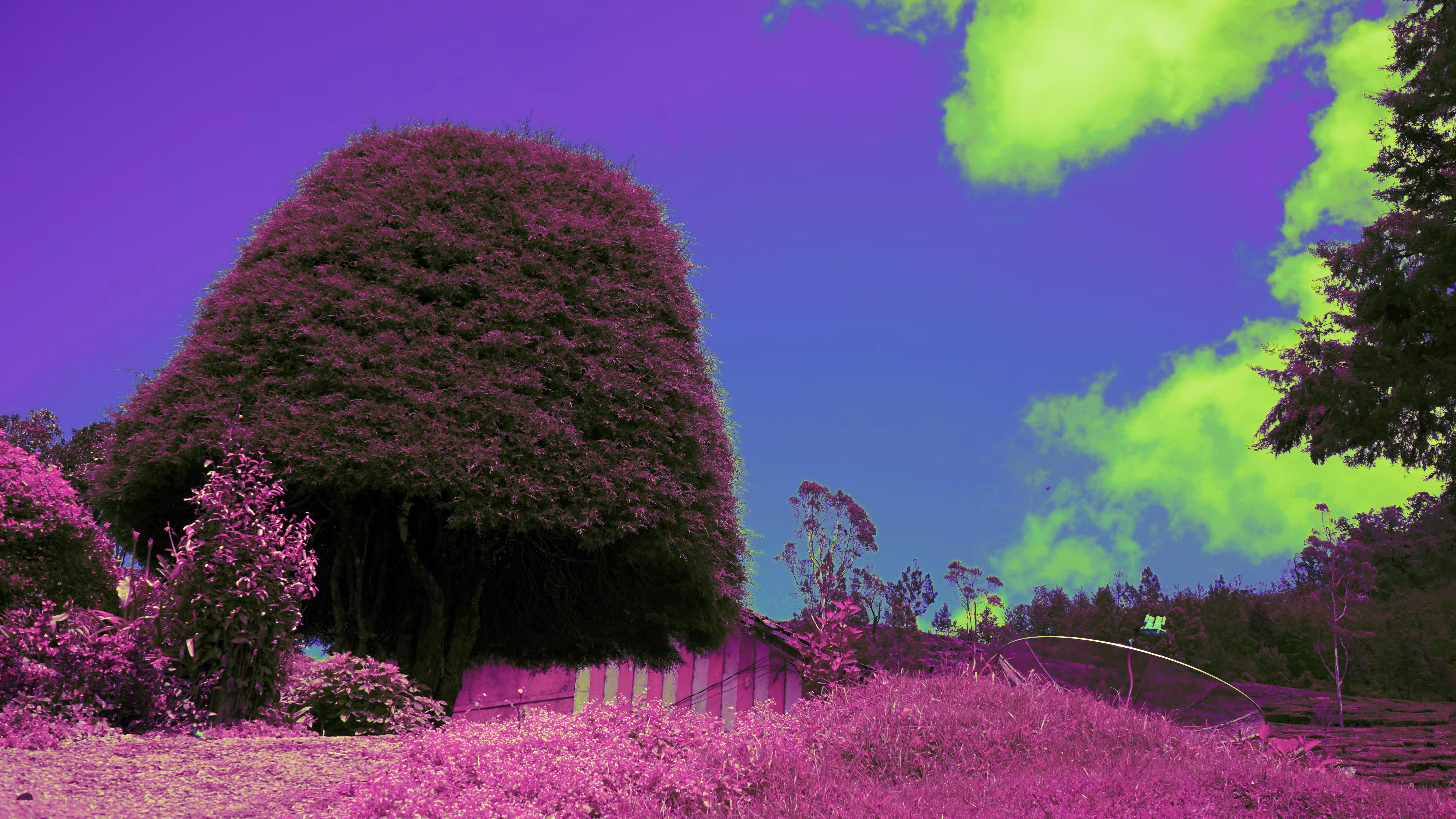 CURSED CITY (BANDUNG)
