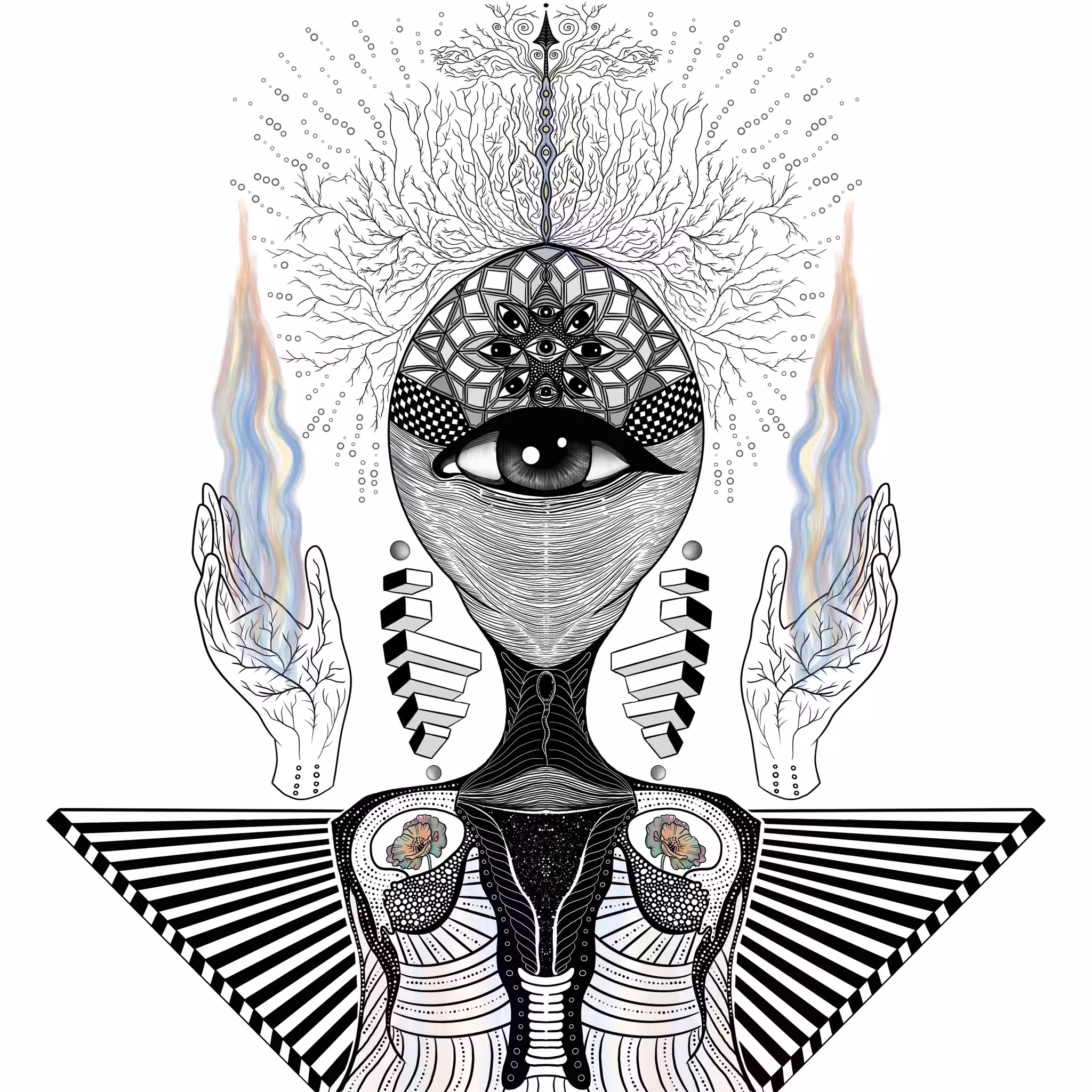 MADRE
