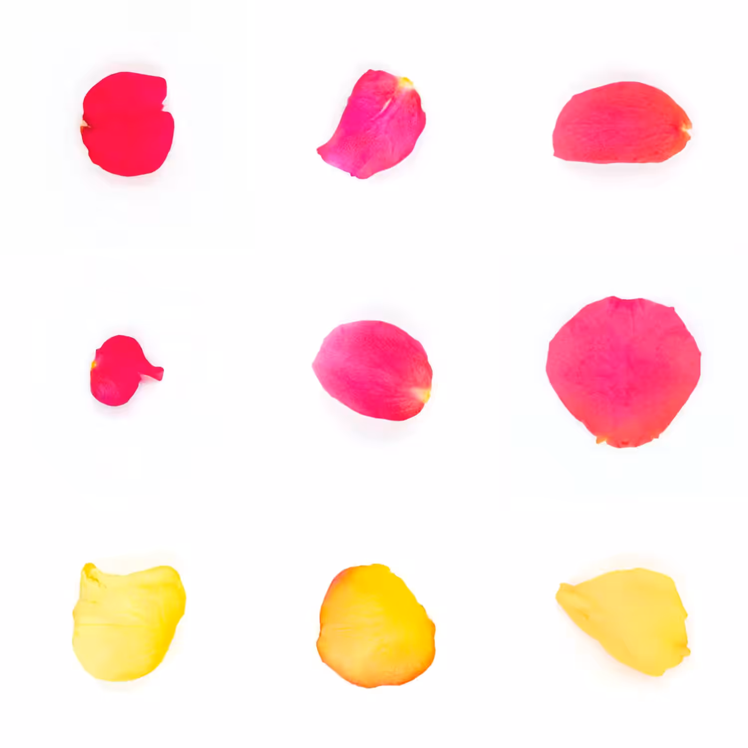 Infinite Petals 3x3#3941