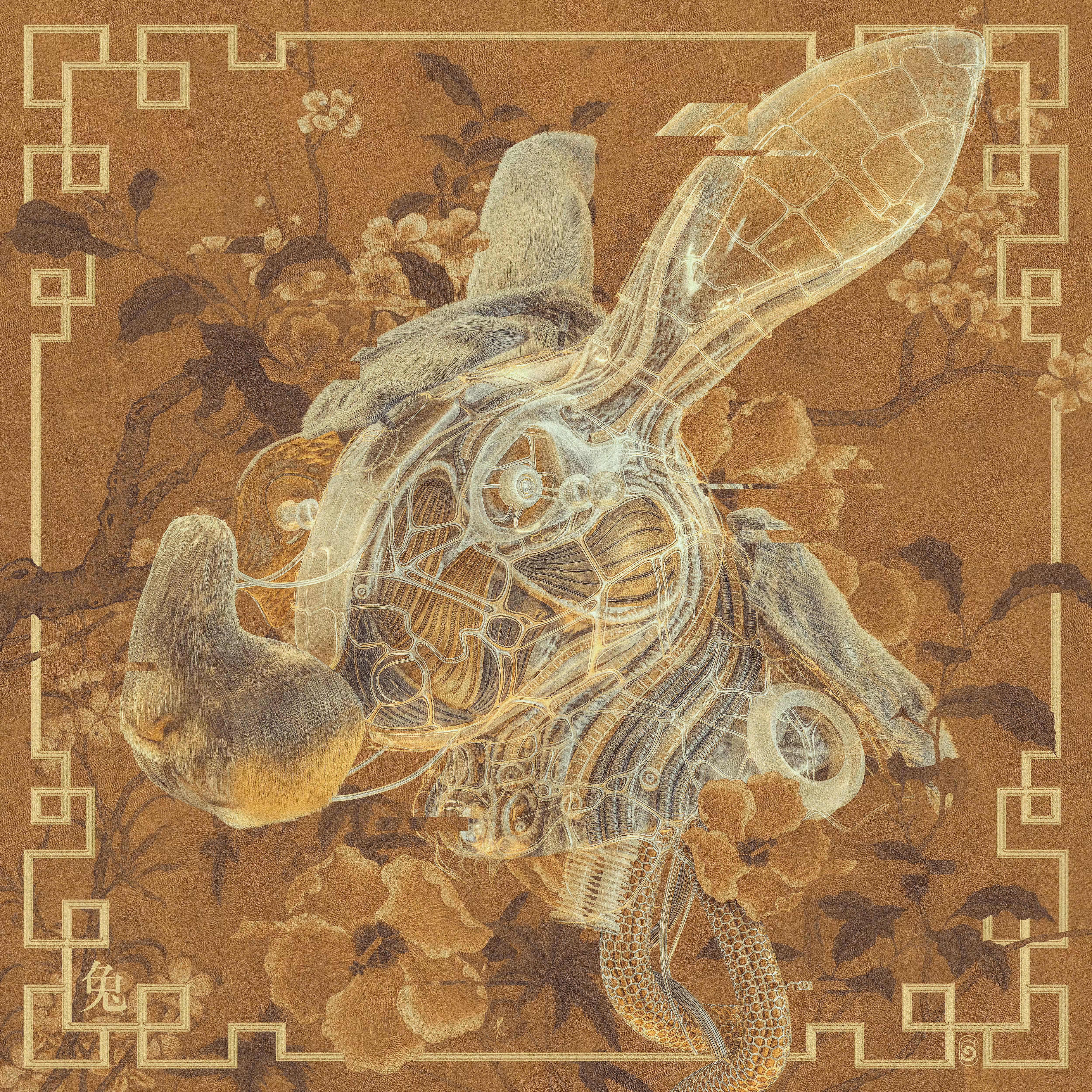 Year of the Rabbit