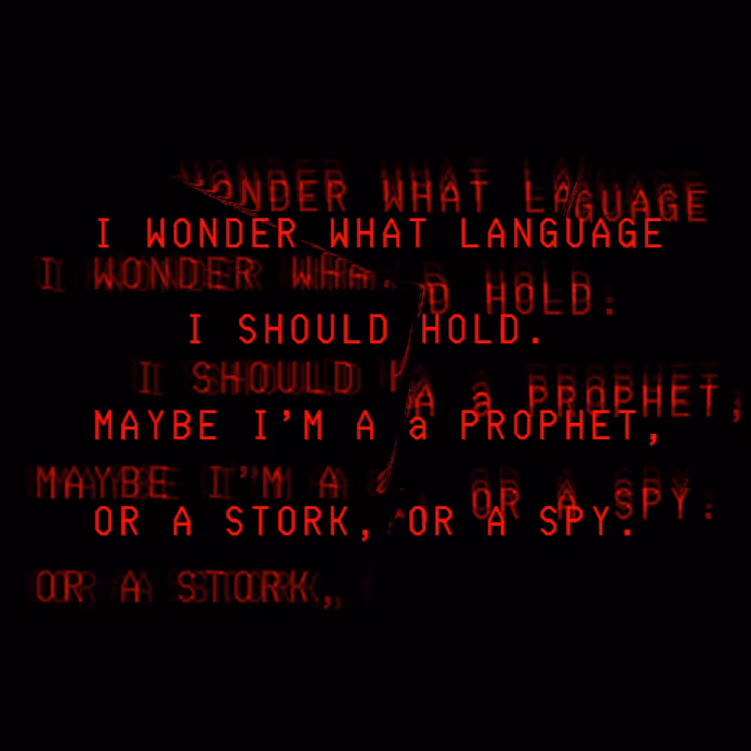 I wonder what language I should hold