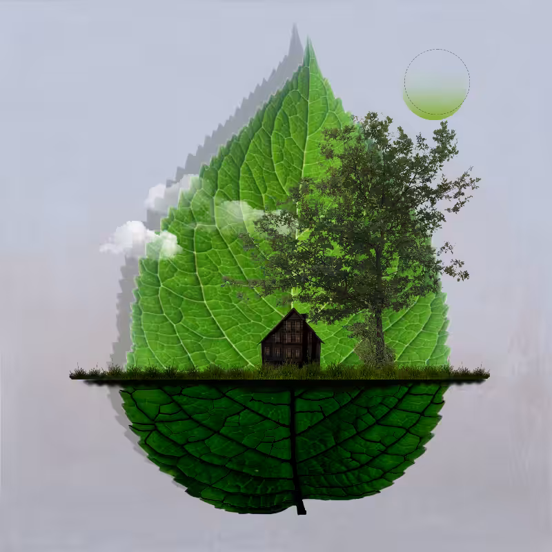 Live in Nature #37