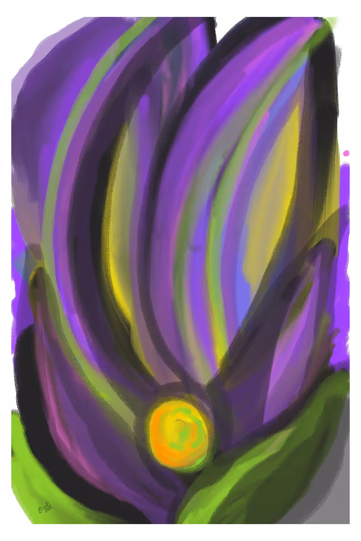 Iris