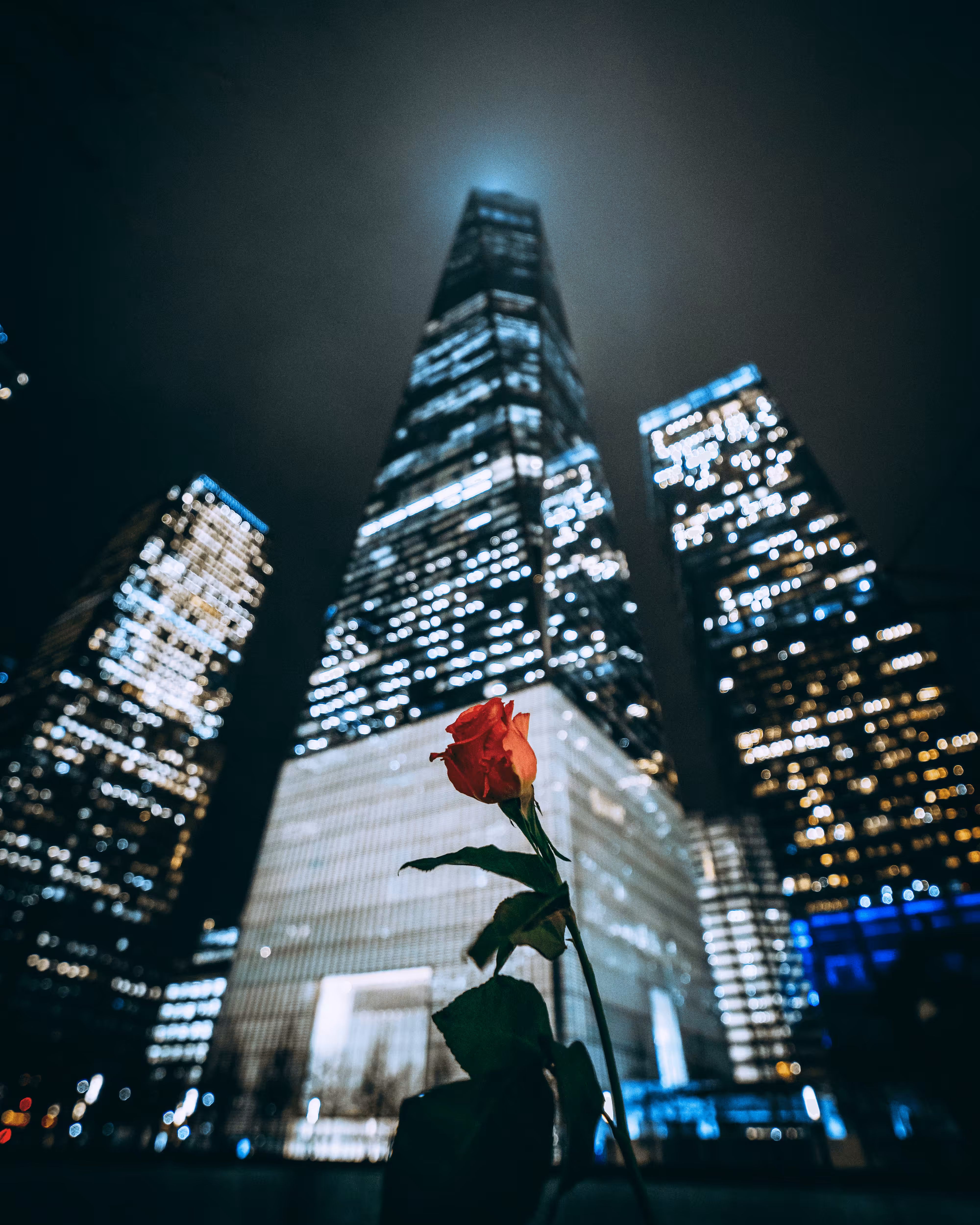Urban nights of 88visuals: 9/11 memorial with red rose