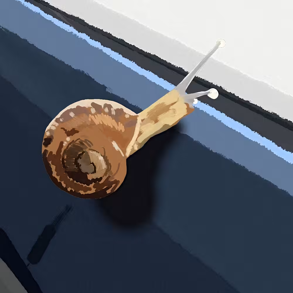 Art Of Abolfazl :  A Snail climbing a scanner 