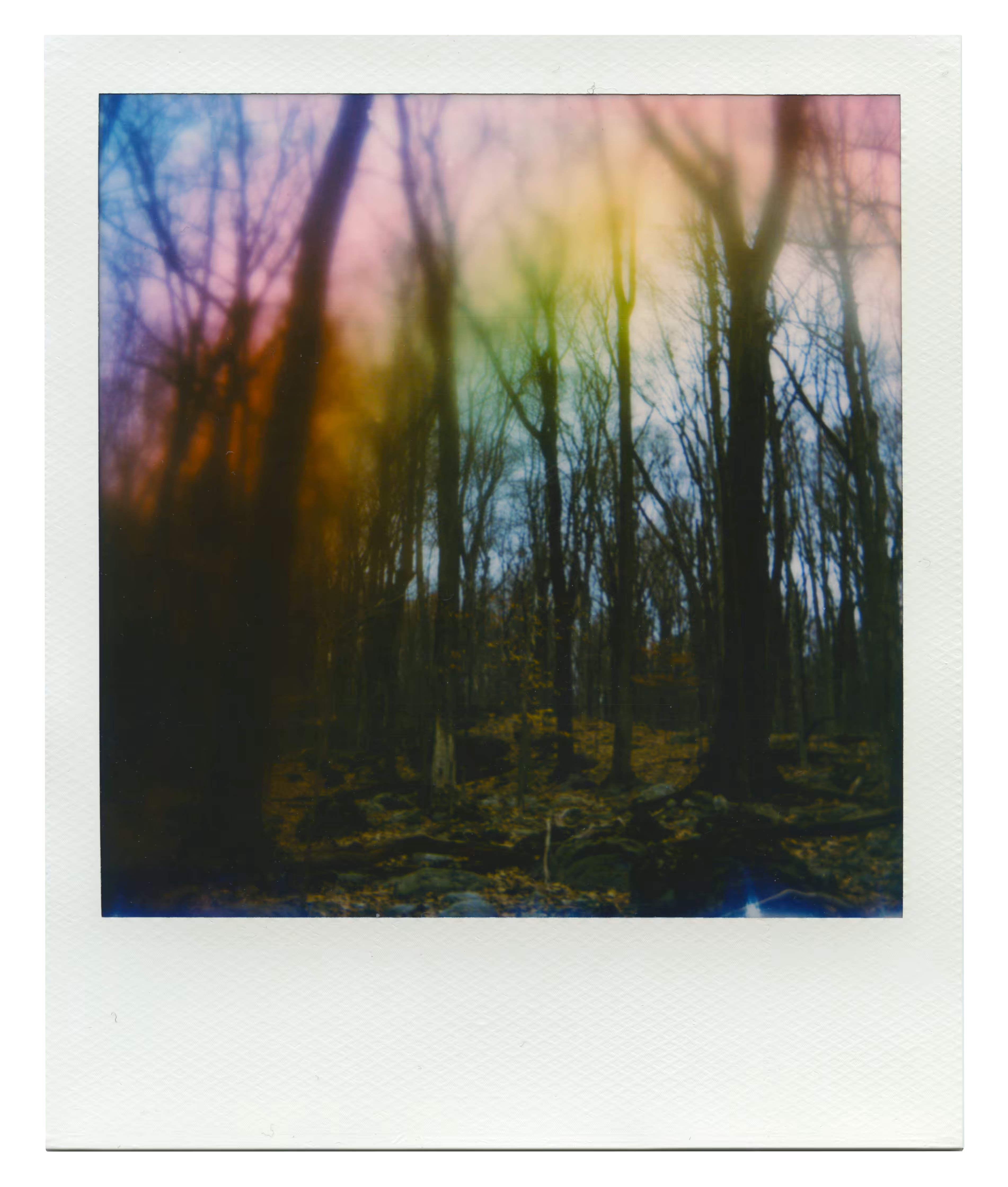 Manifestation