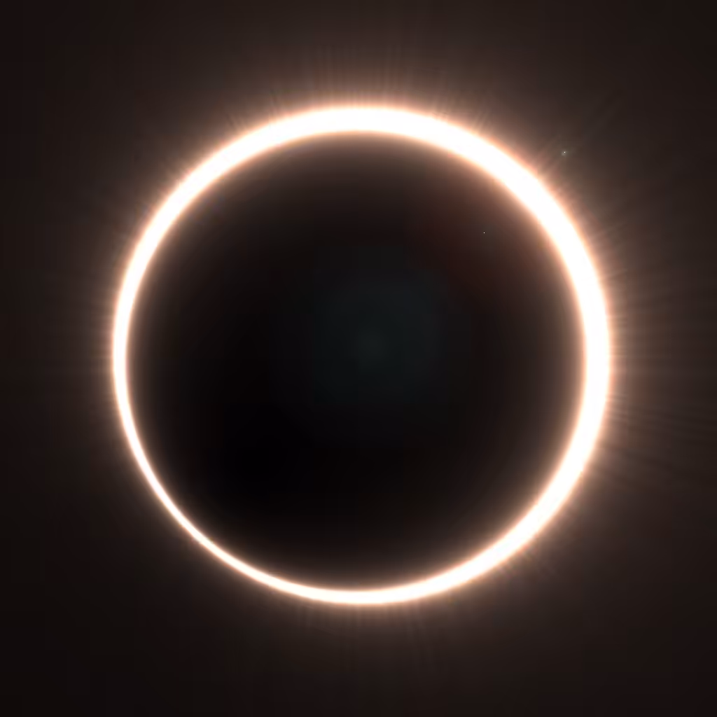 Totality #310