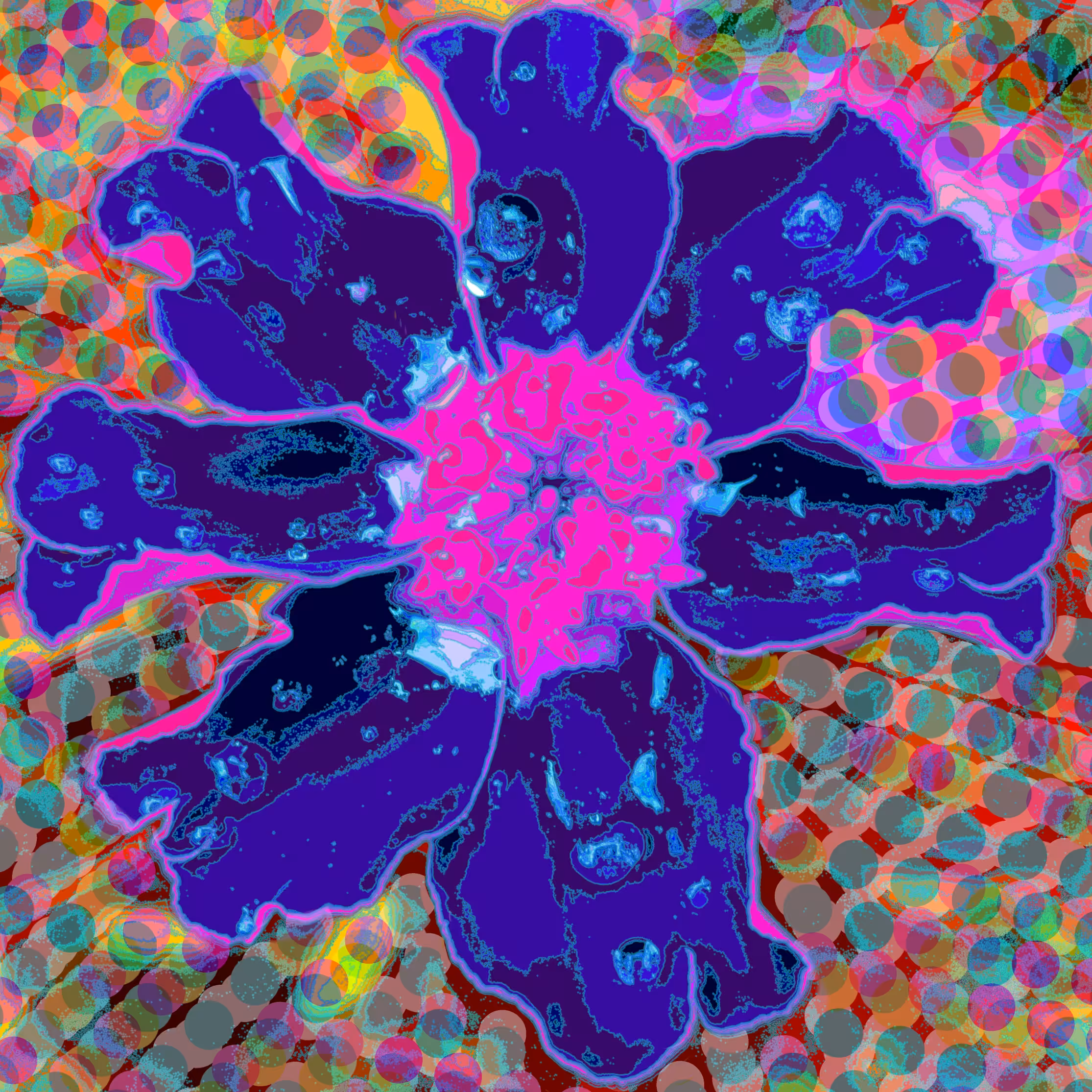 Magic Marigold