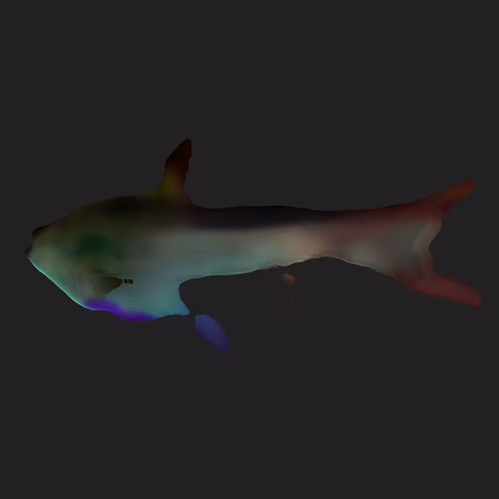 smoothie private jet rainbow trout 