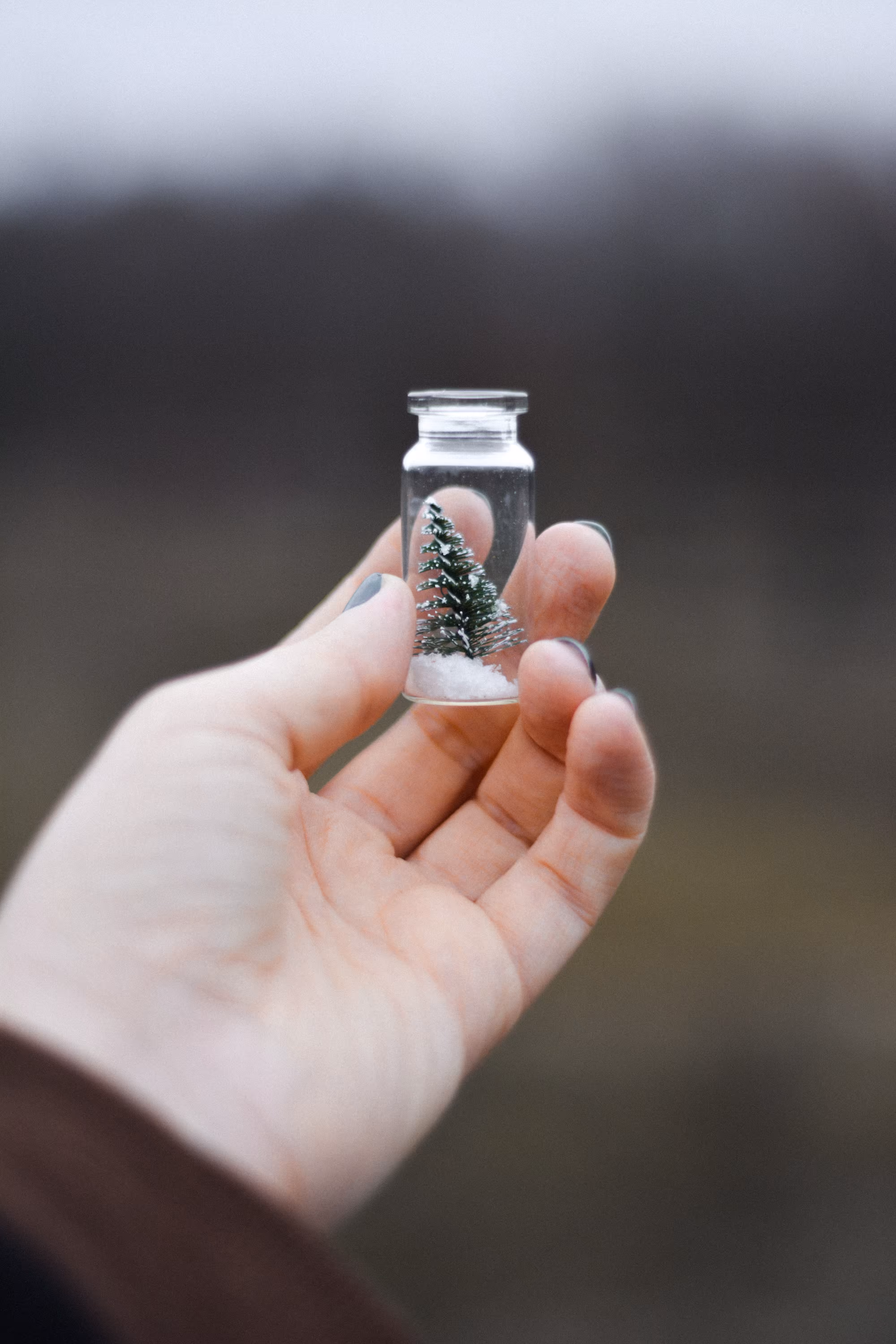 tiny christmas