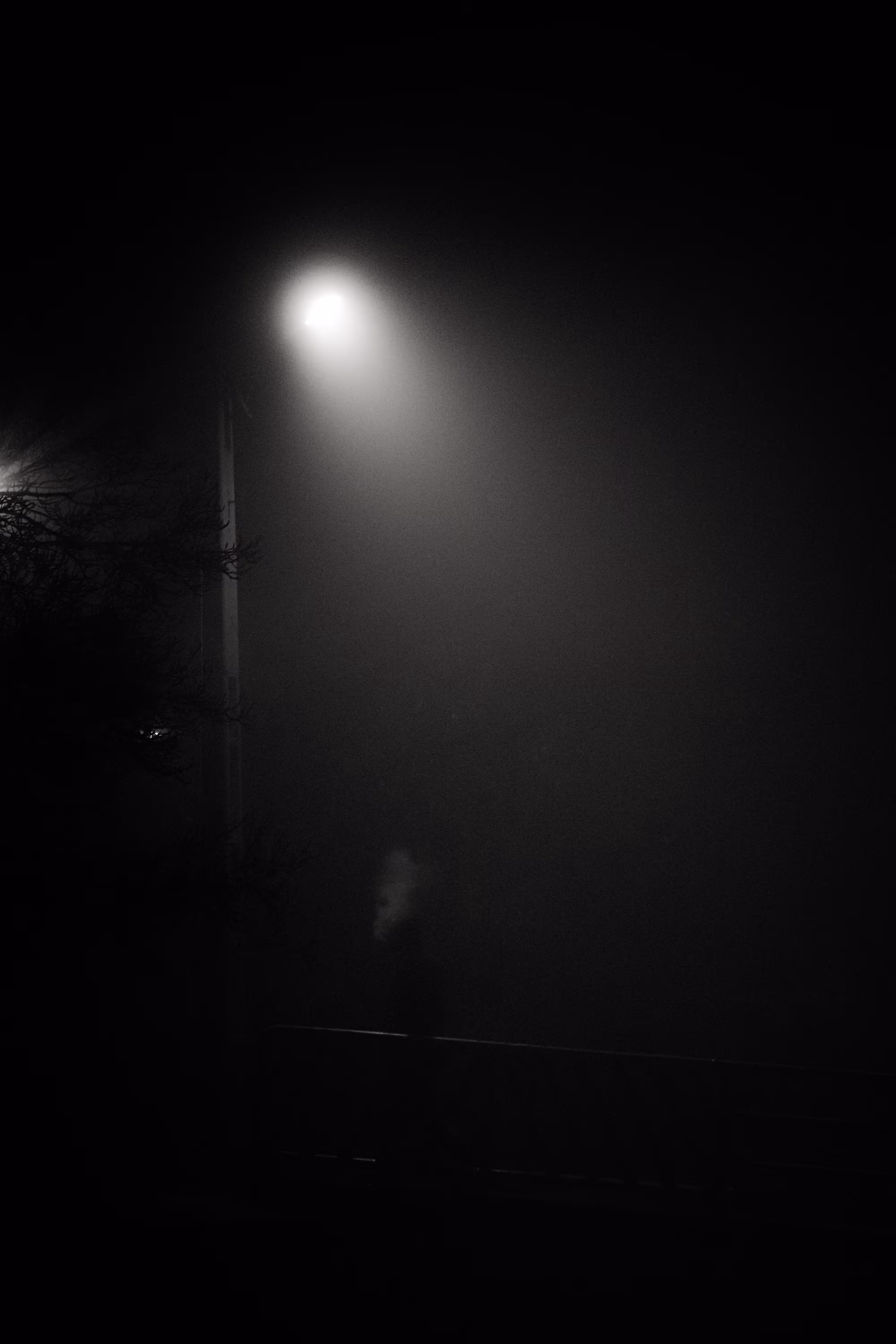 "In Fog"