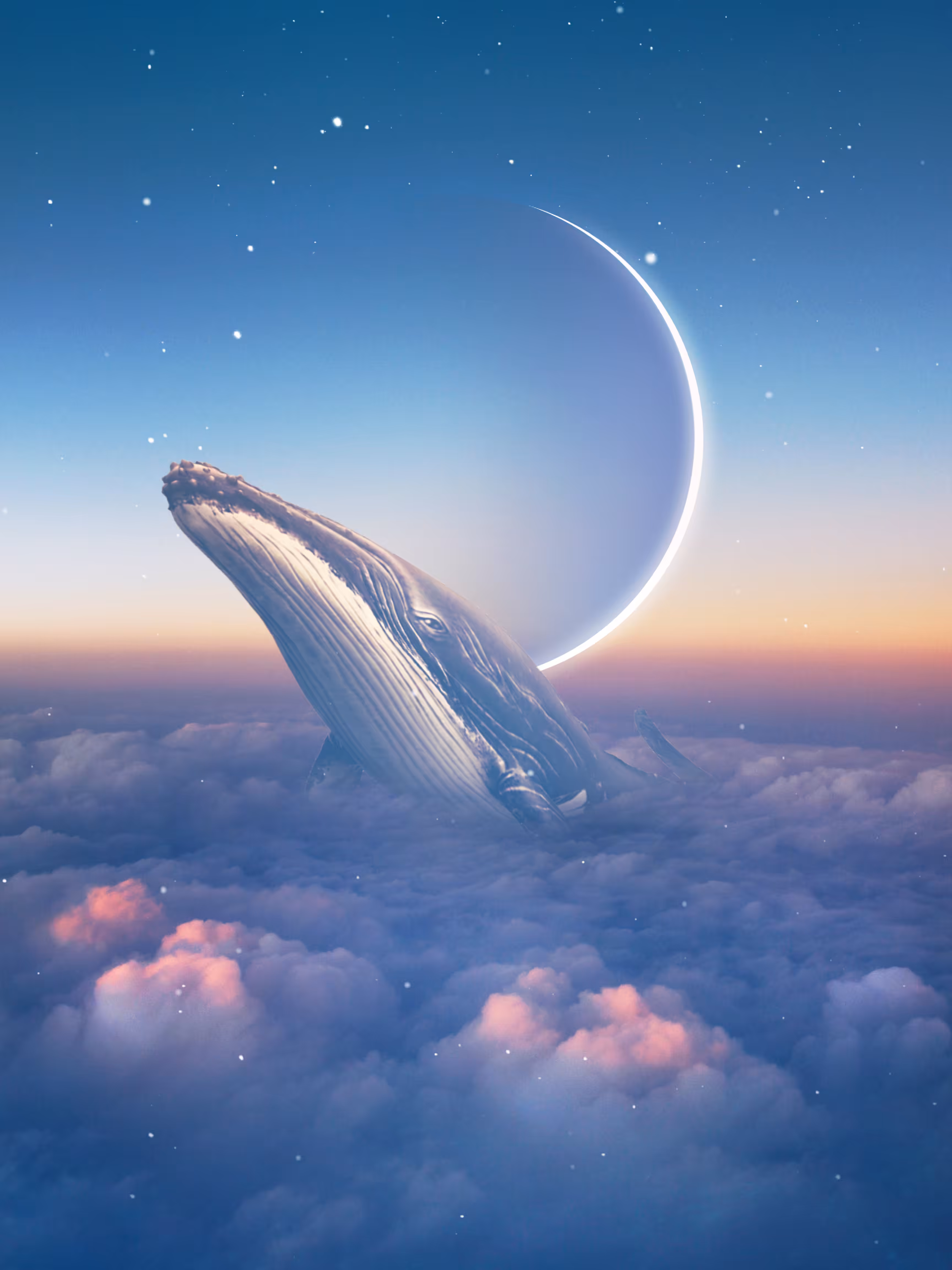 Cloud Whale