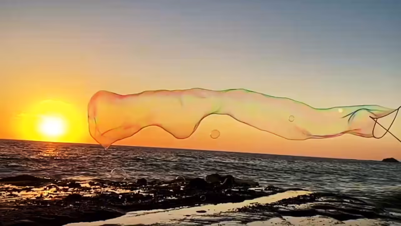 Fleeting Moment