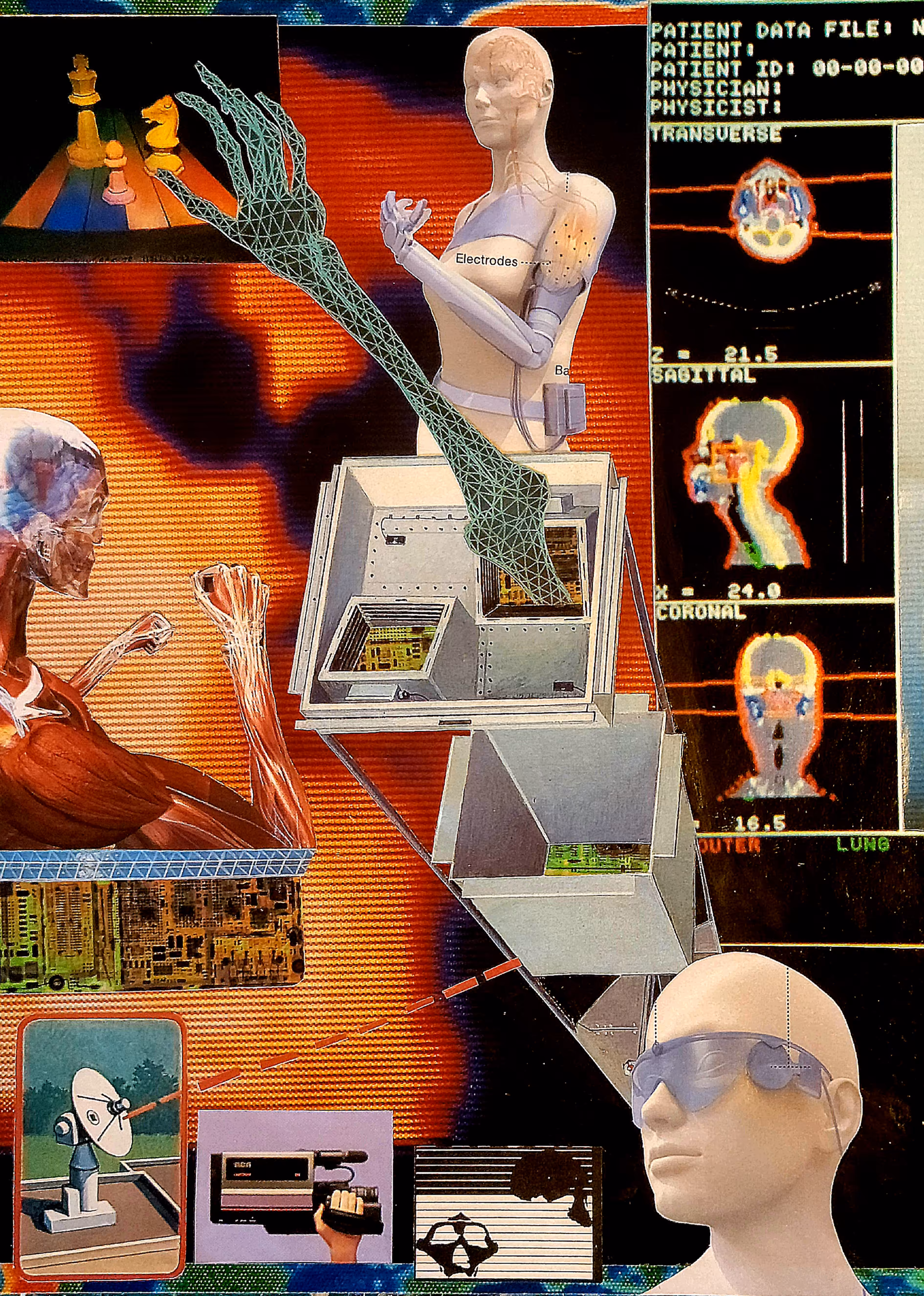 Interdimensional Chess Boxing Master