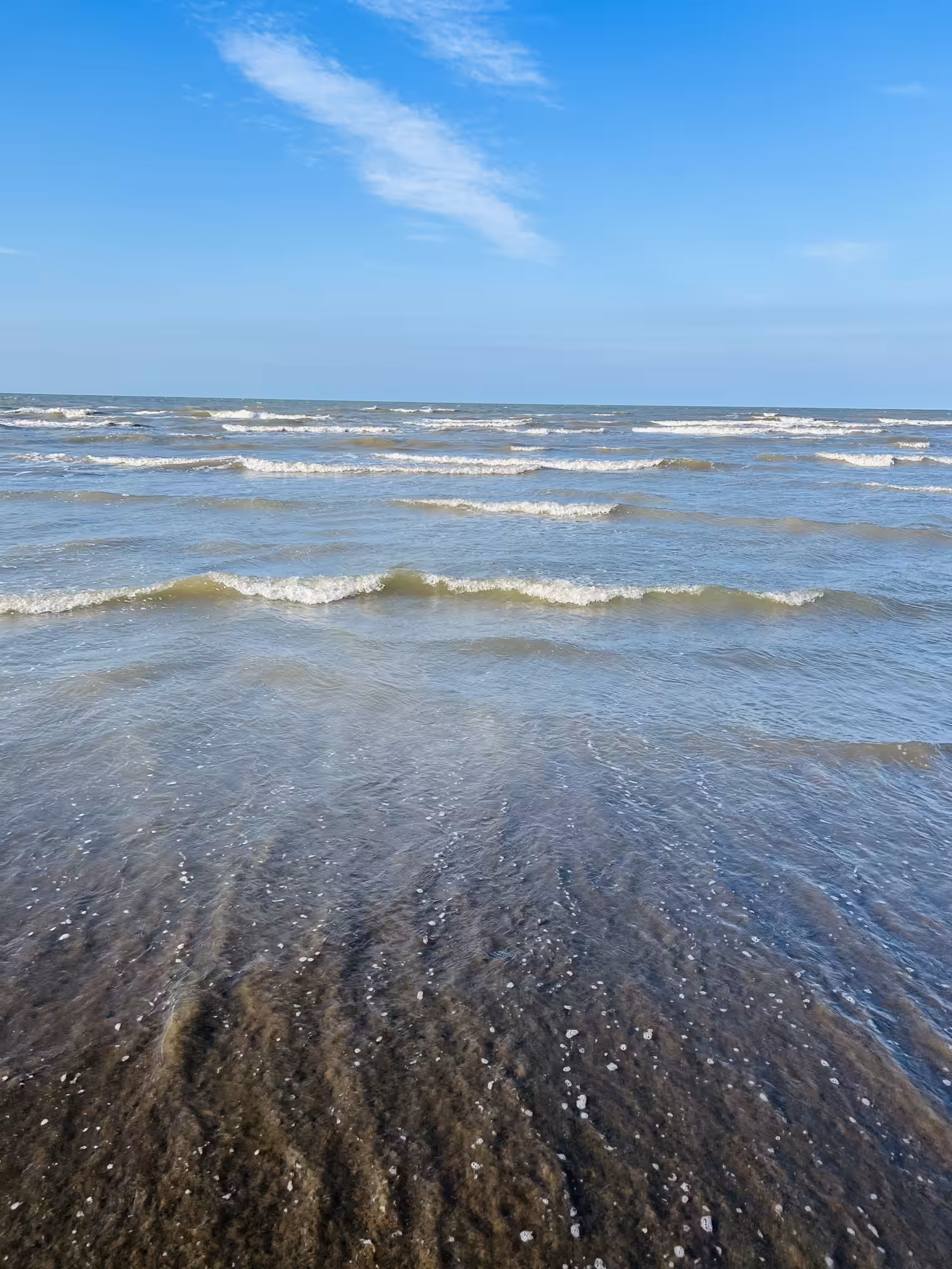 Sea wave
