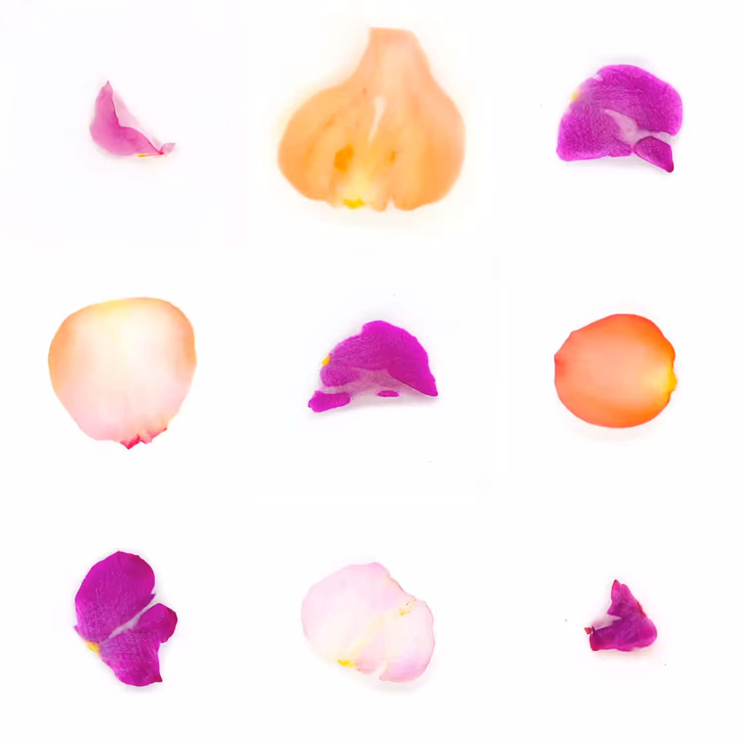 Infinite Petals 3x3#1441