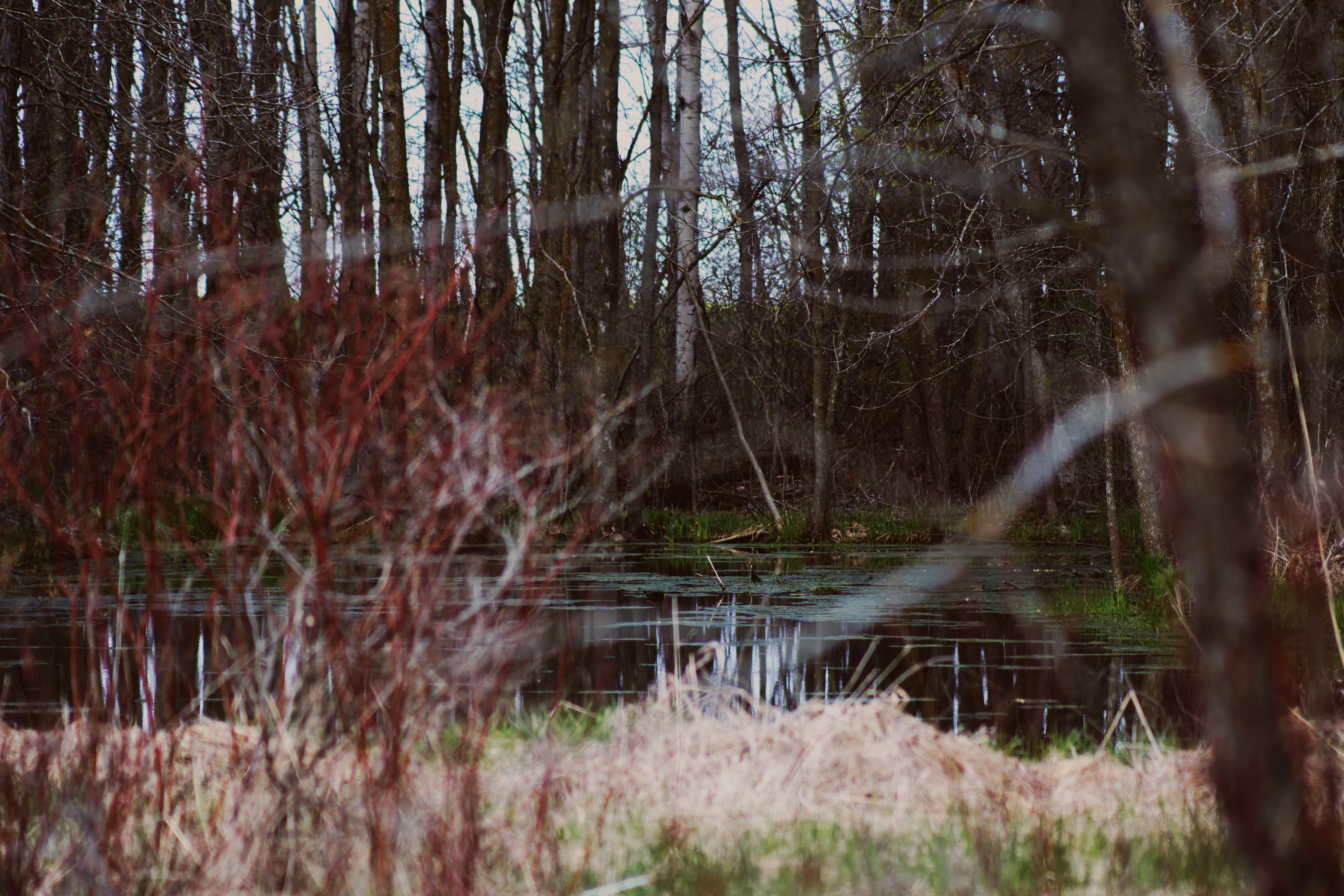 _at the edge