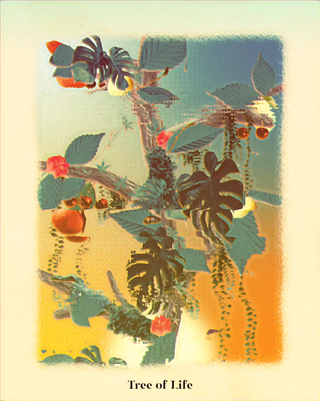 Tree of Life