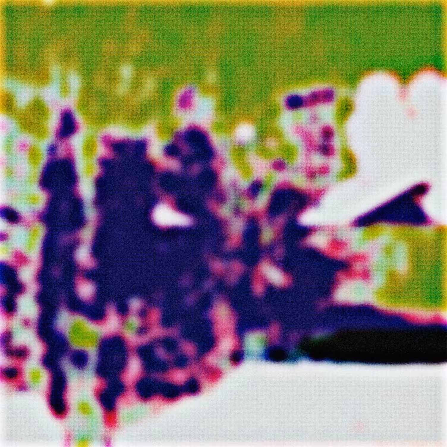 Declaring Cabbage