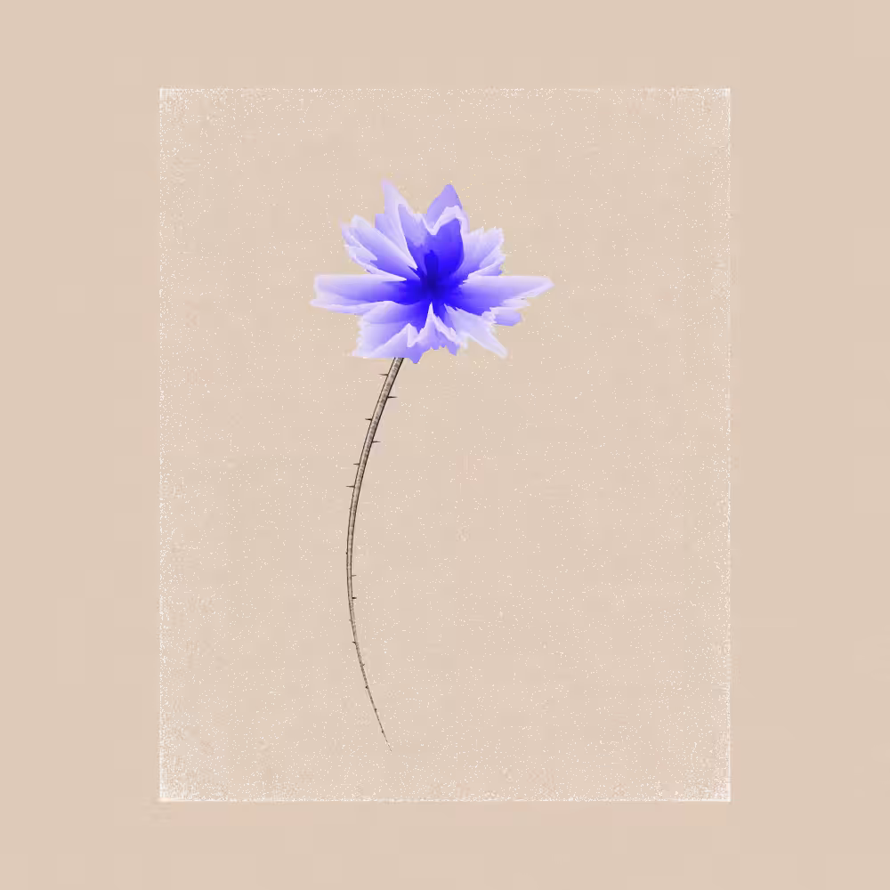 Magnolia #61