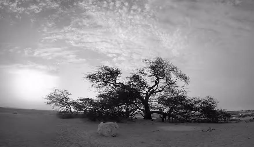 Tree of Life