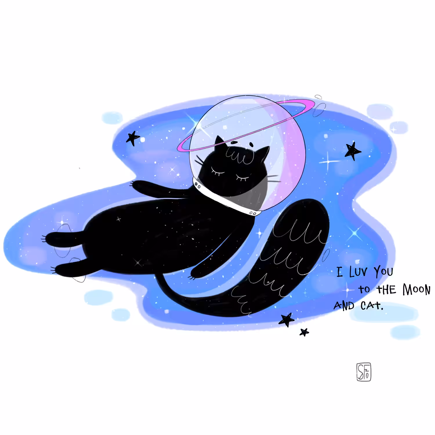 SPACE CAT