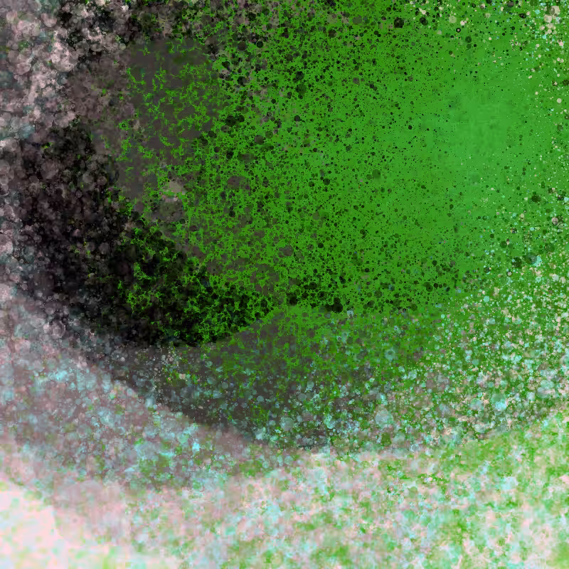 Enfold #5