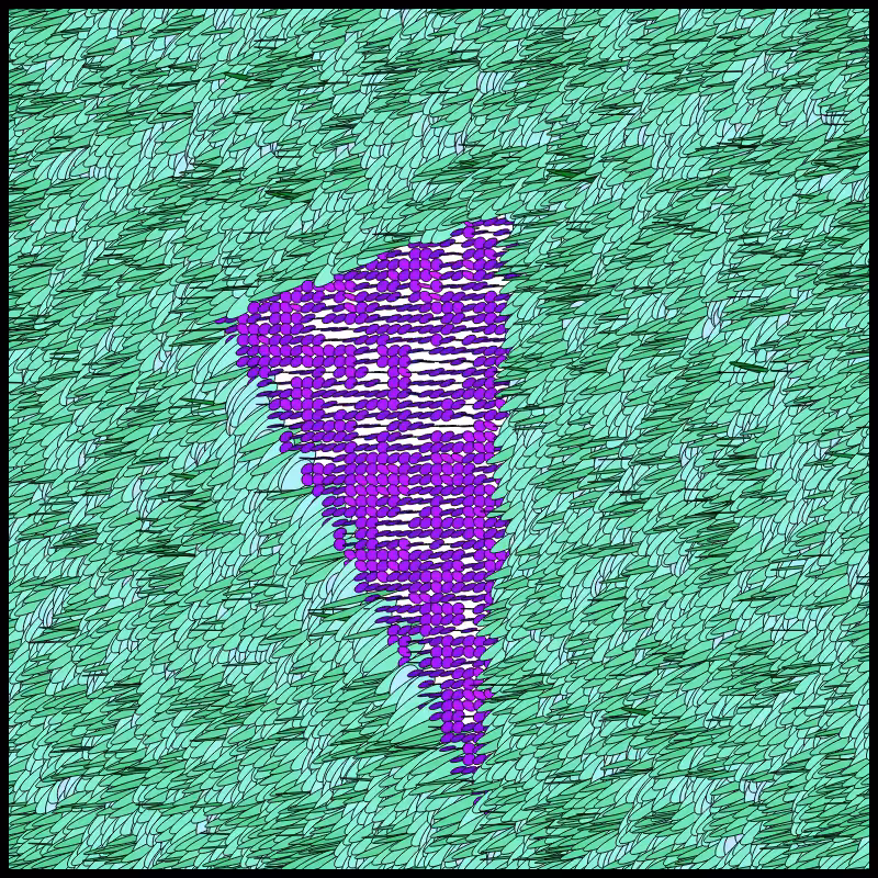Flow Field Circles Triangle #52