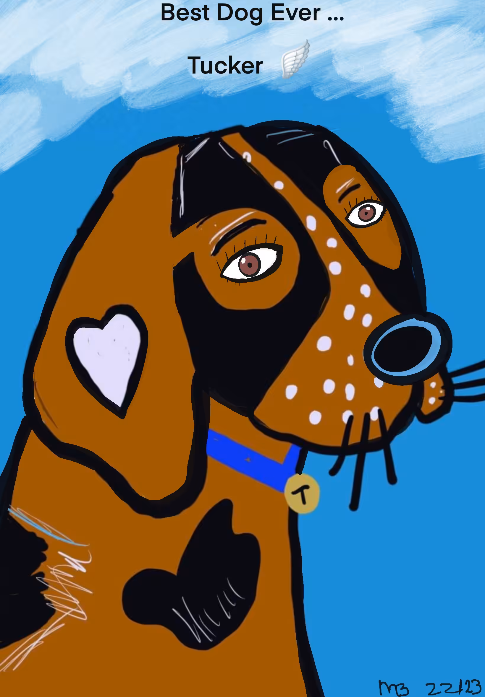 Tucker 2.0