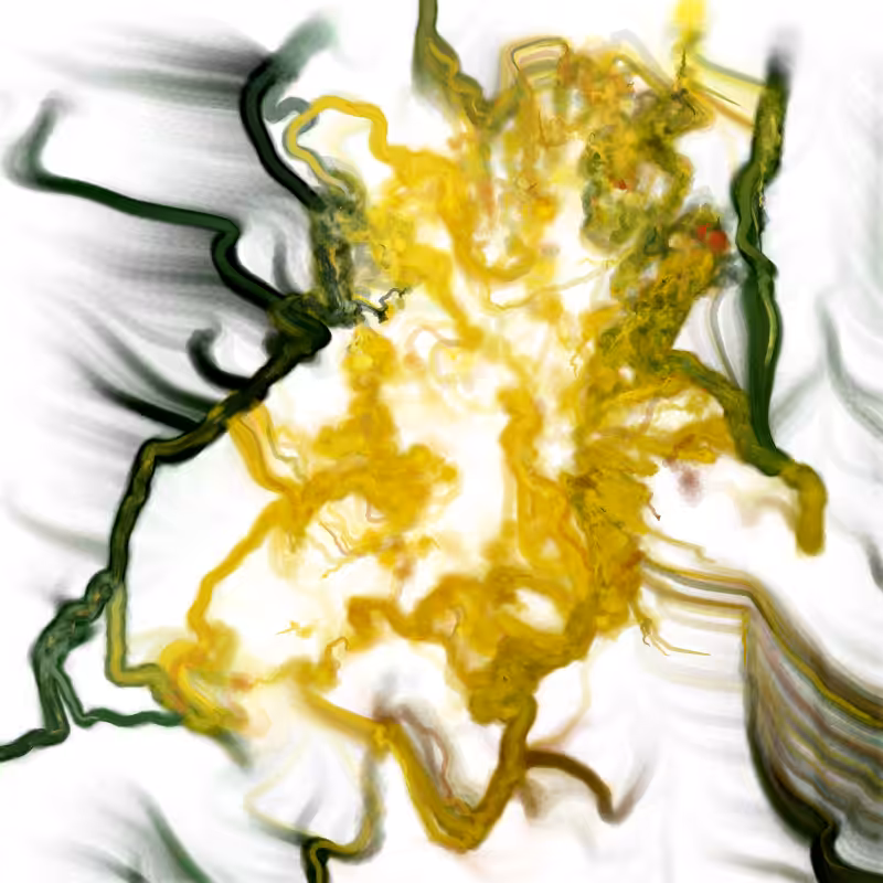Hypericum #15