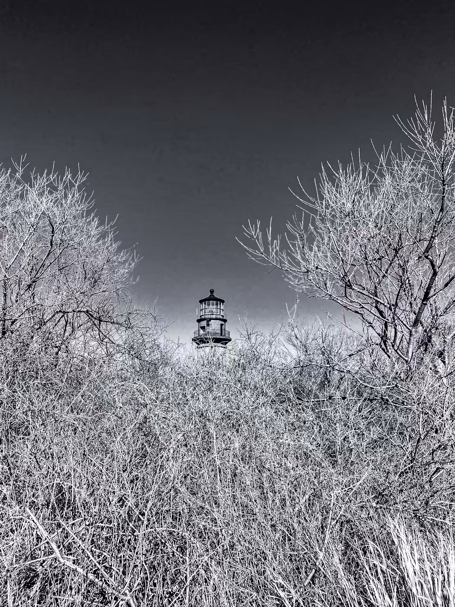 The Lighthouse