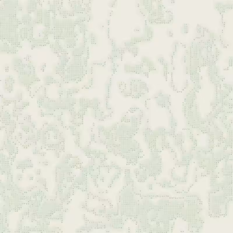 Petri 1500 #719
