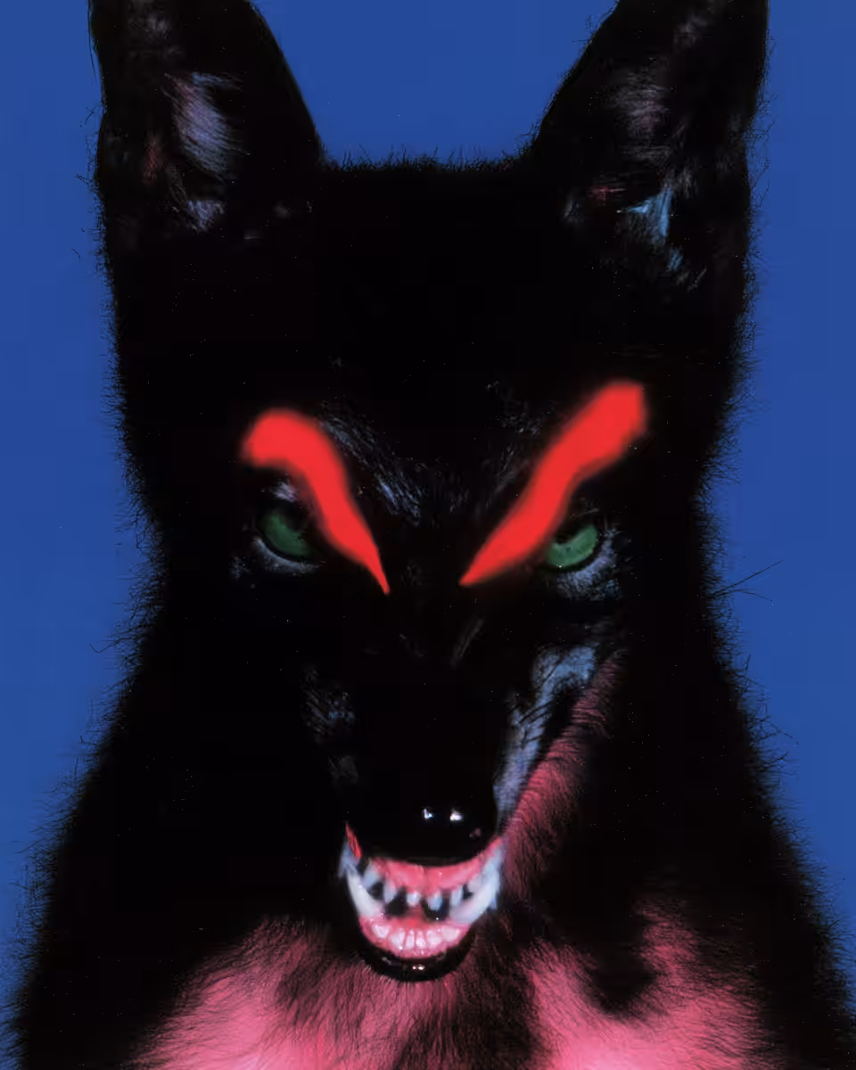 ANIMA: Hunt
