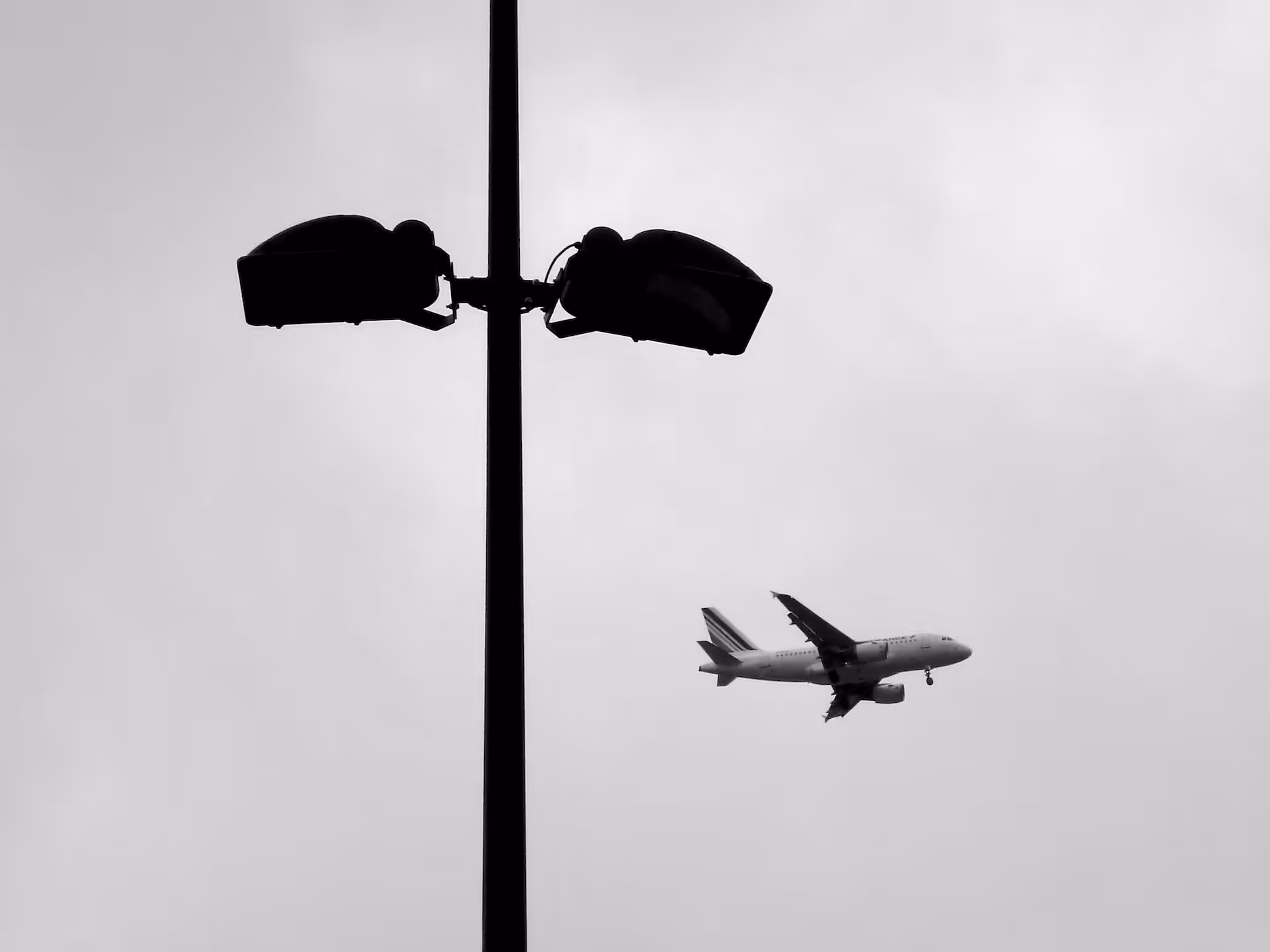 Icarus also flew