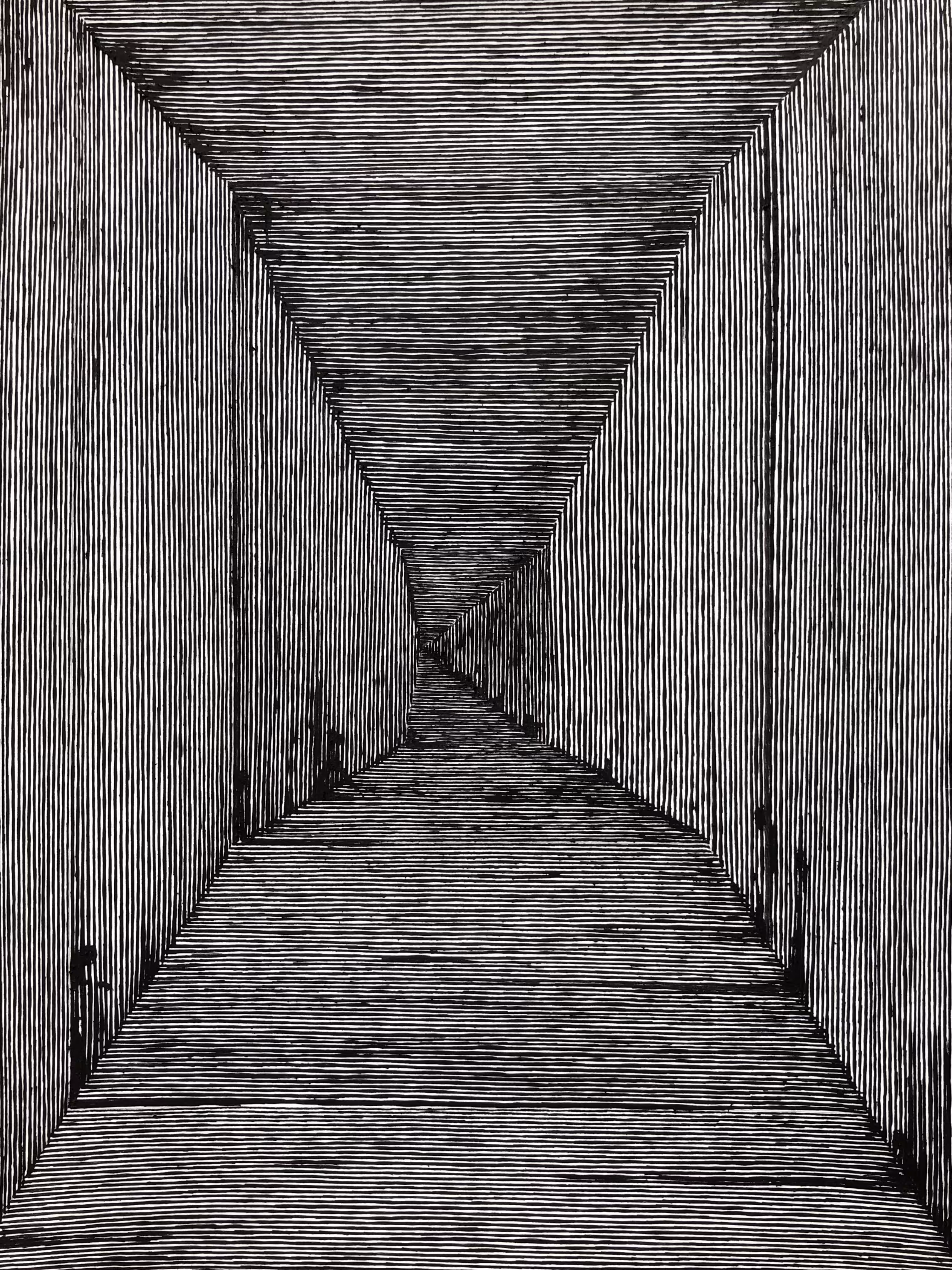 House Of Leaves (or) A Random Walk Down A Walled Street