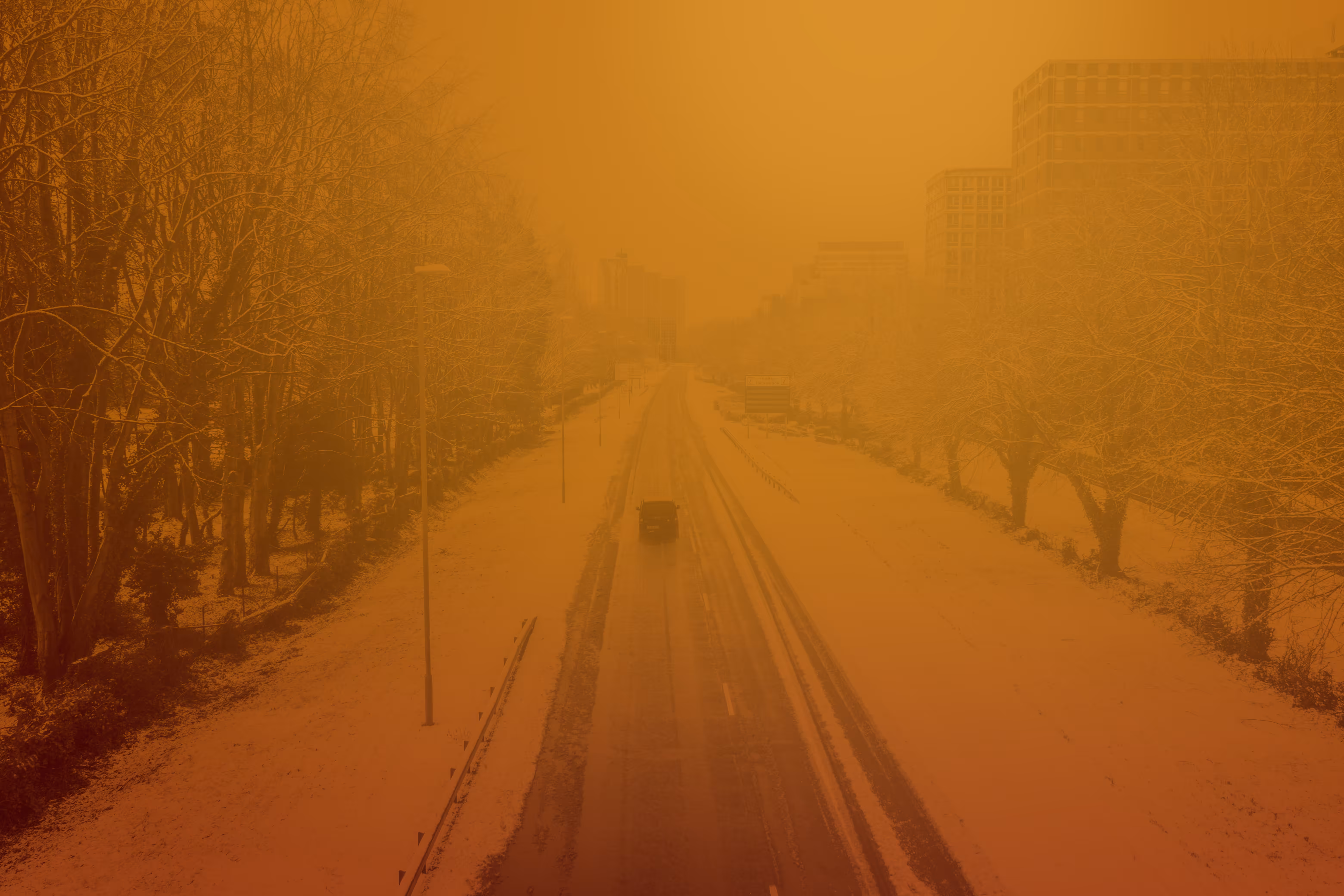 Basingstoke 2049 #1