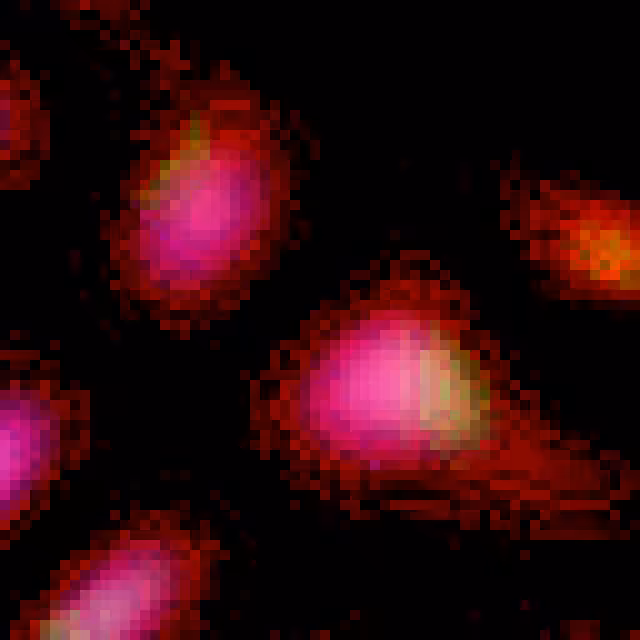 Relic 0xF483D1
