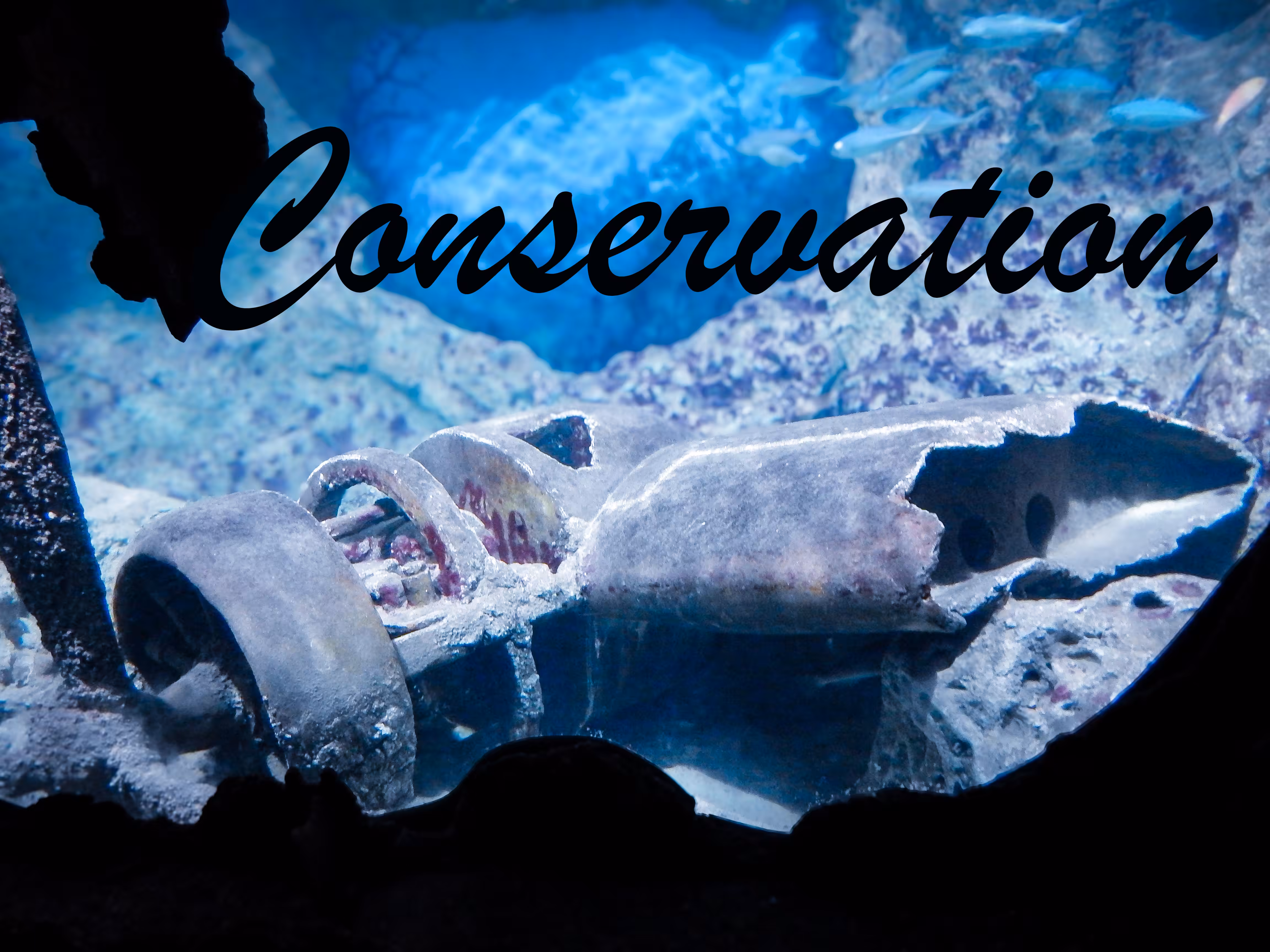 Conservation