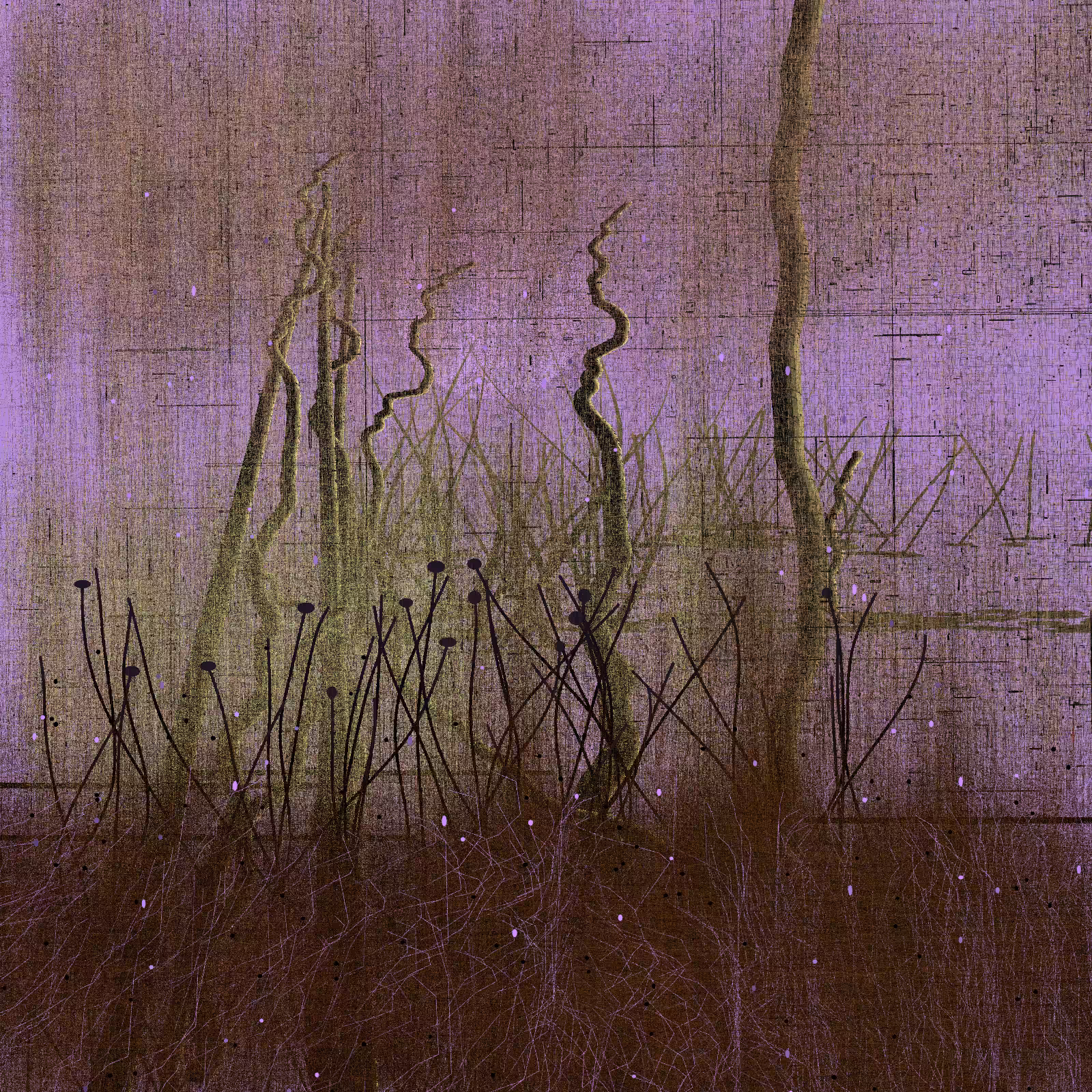 Daydream #47