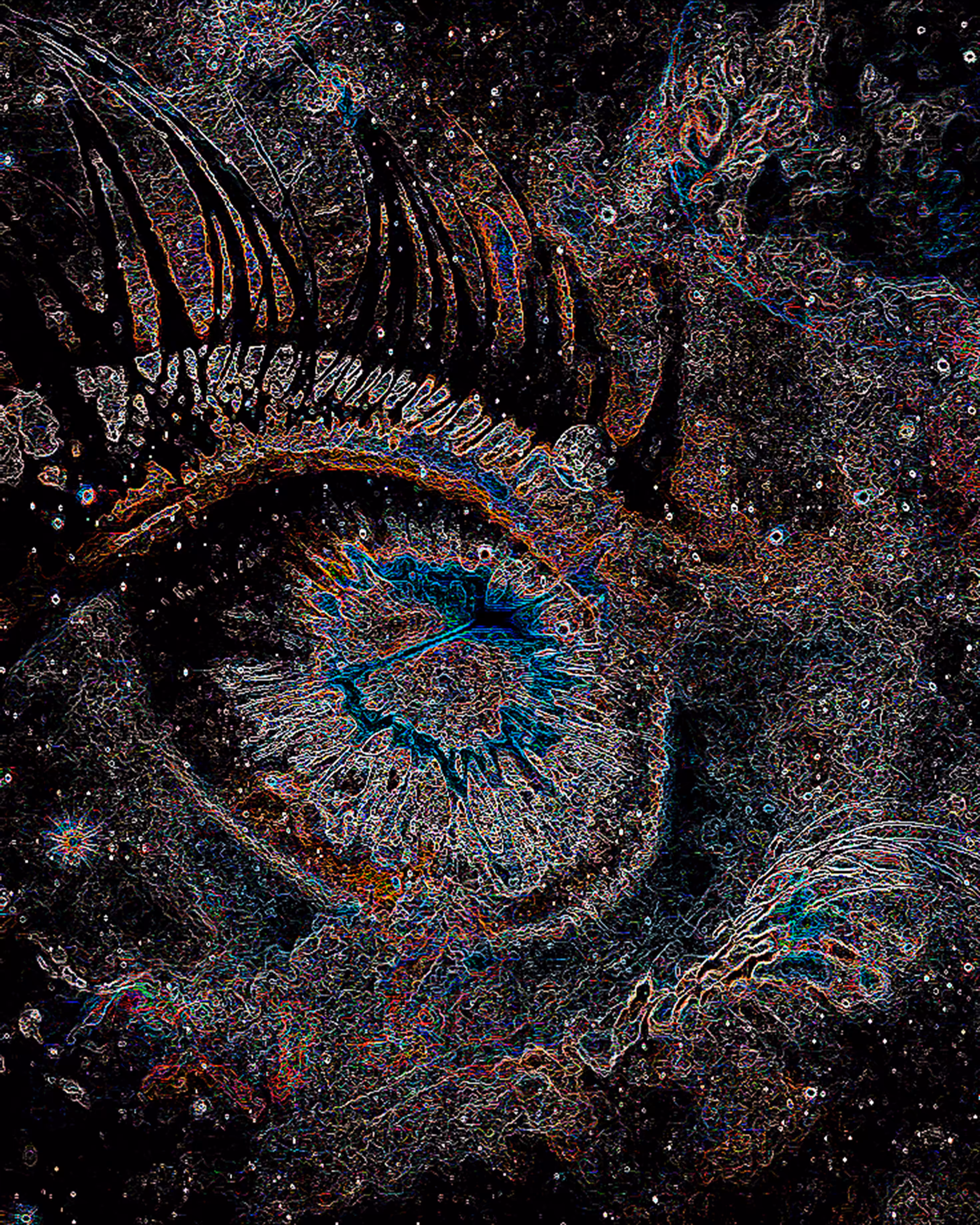 A starlit Gaze