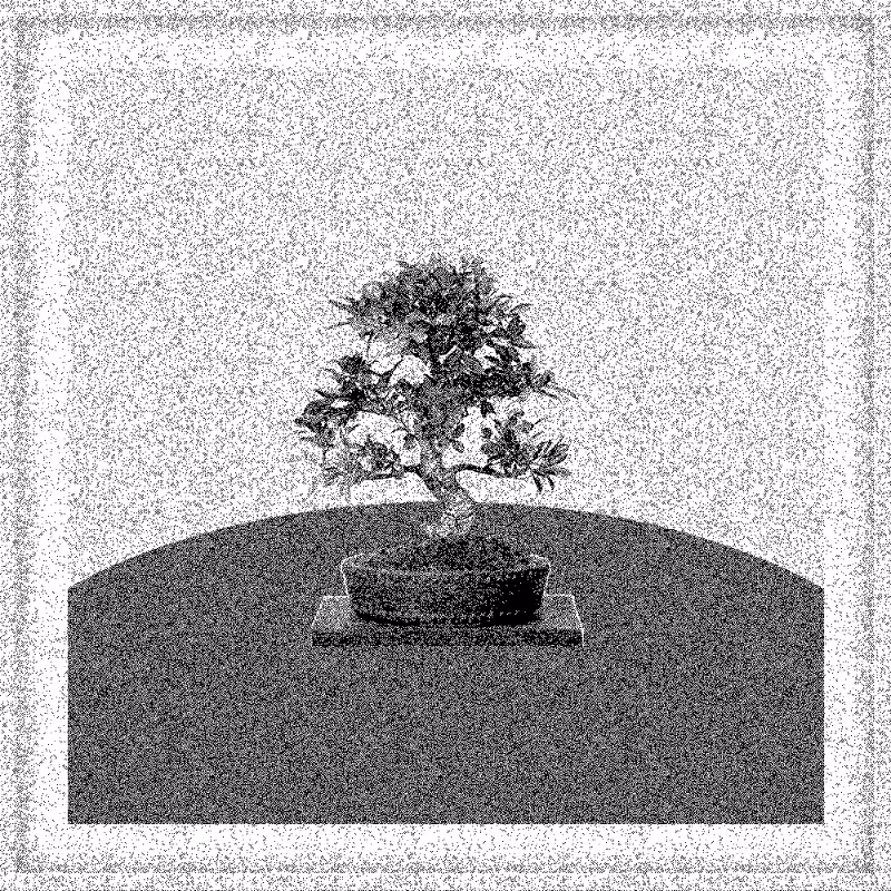 Bonsai Bonanza #599