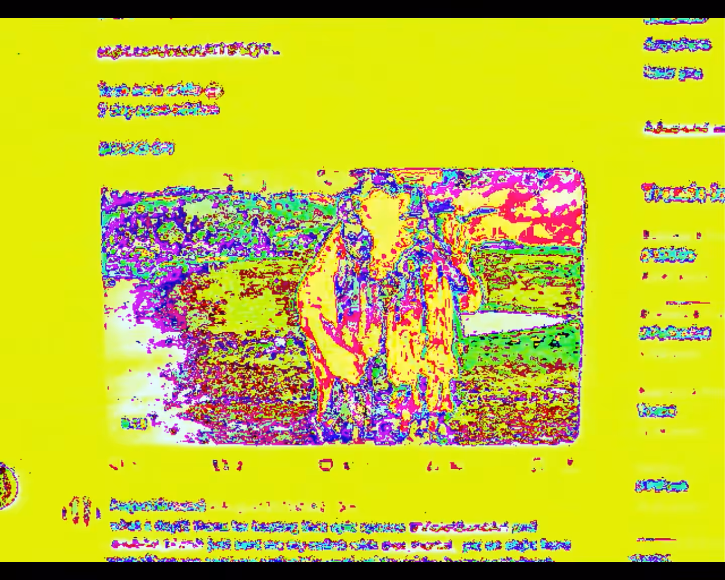 40 second VHS appropriation of your tezpoles