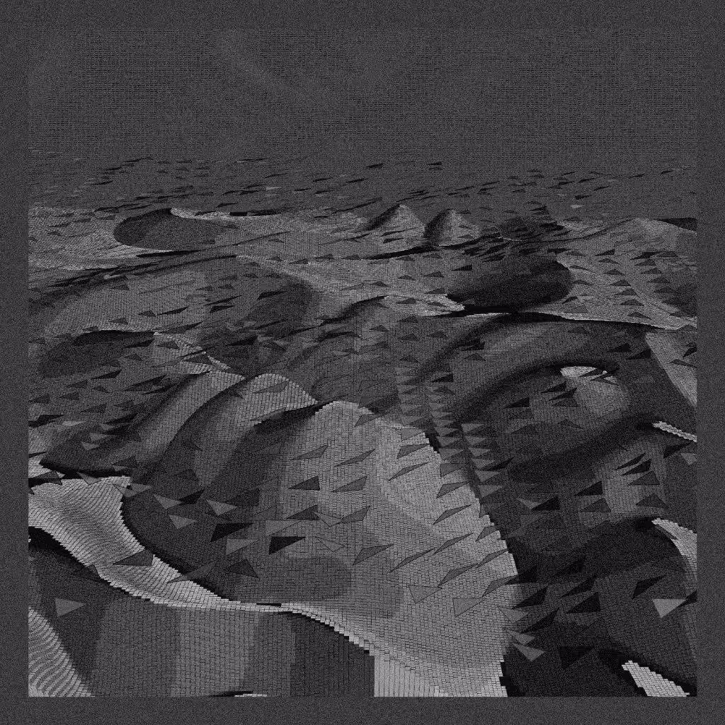 Boids #53
