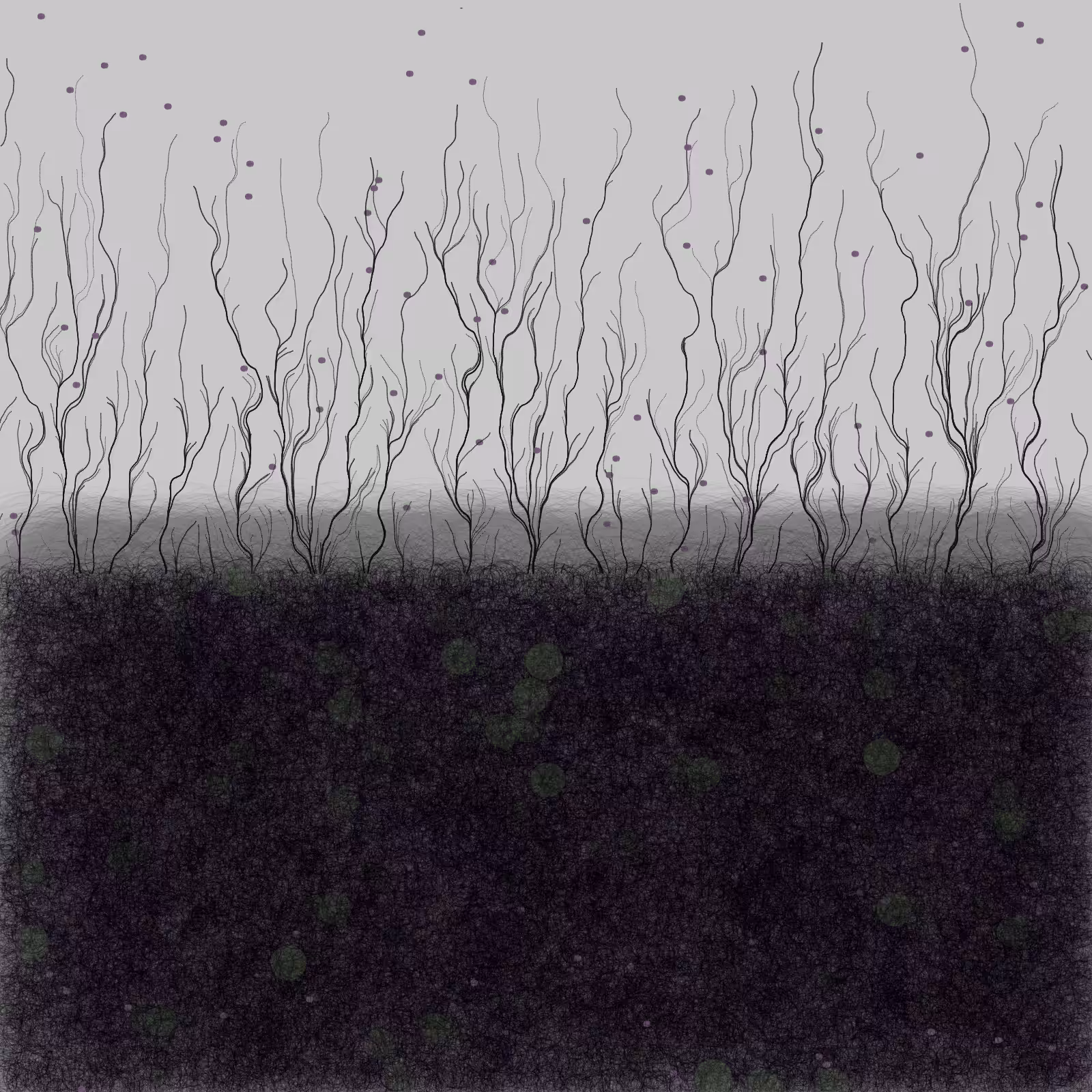 branches #23