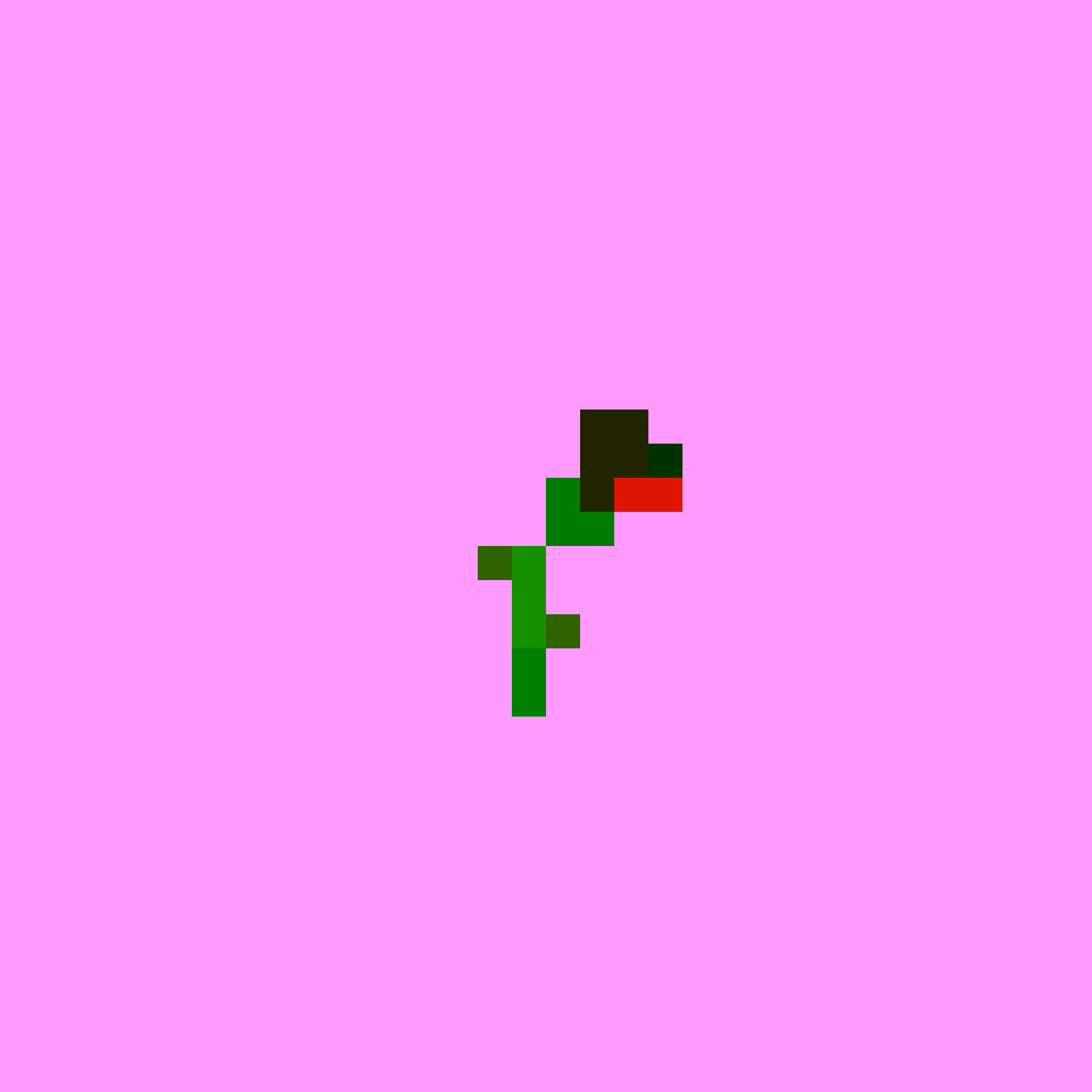 #8: The Rose