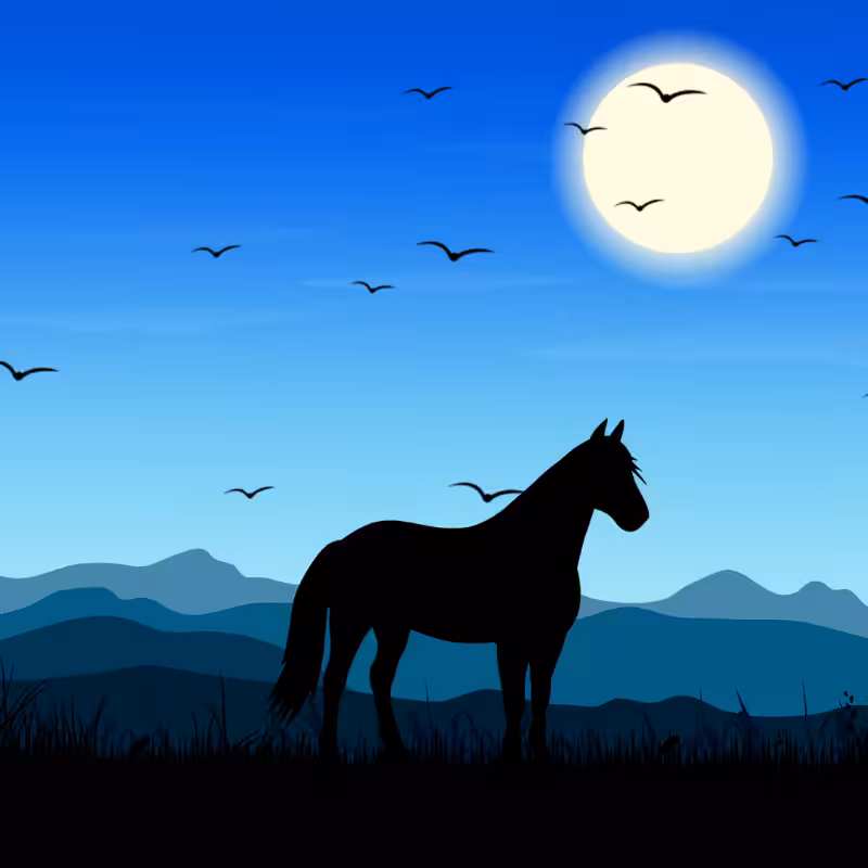 We Care...Horse #9