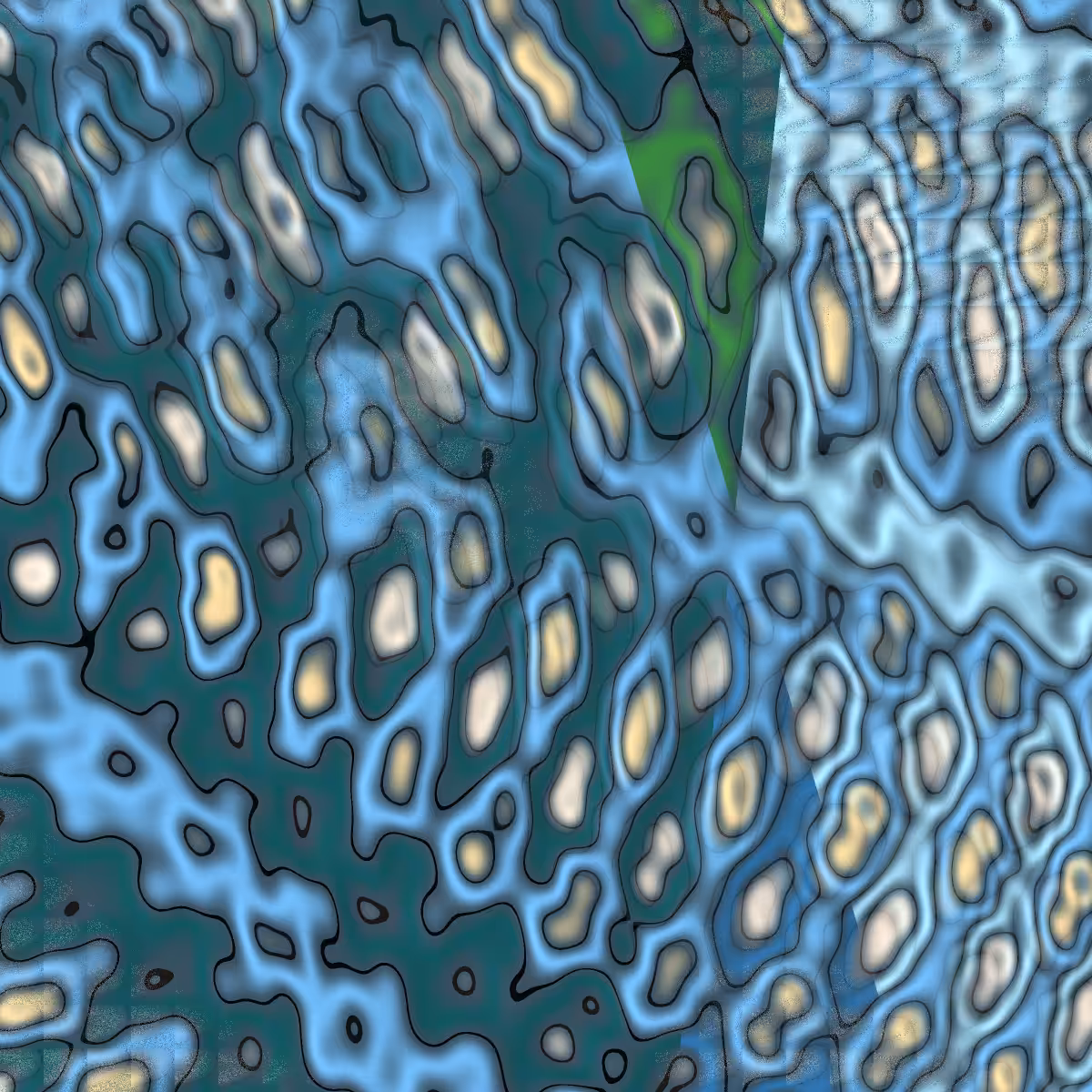 Newer Wave
