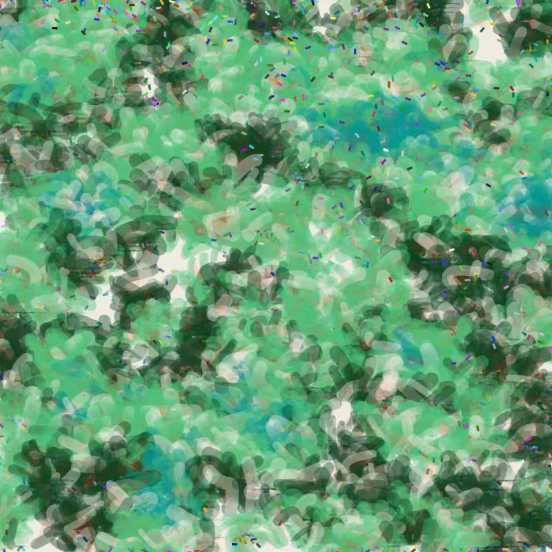 Petri 1500 #1460