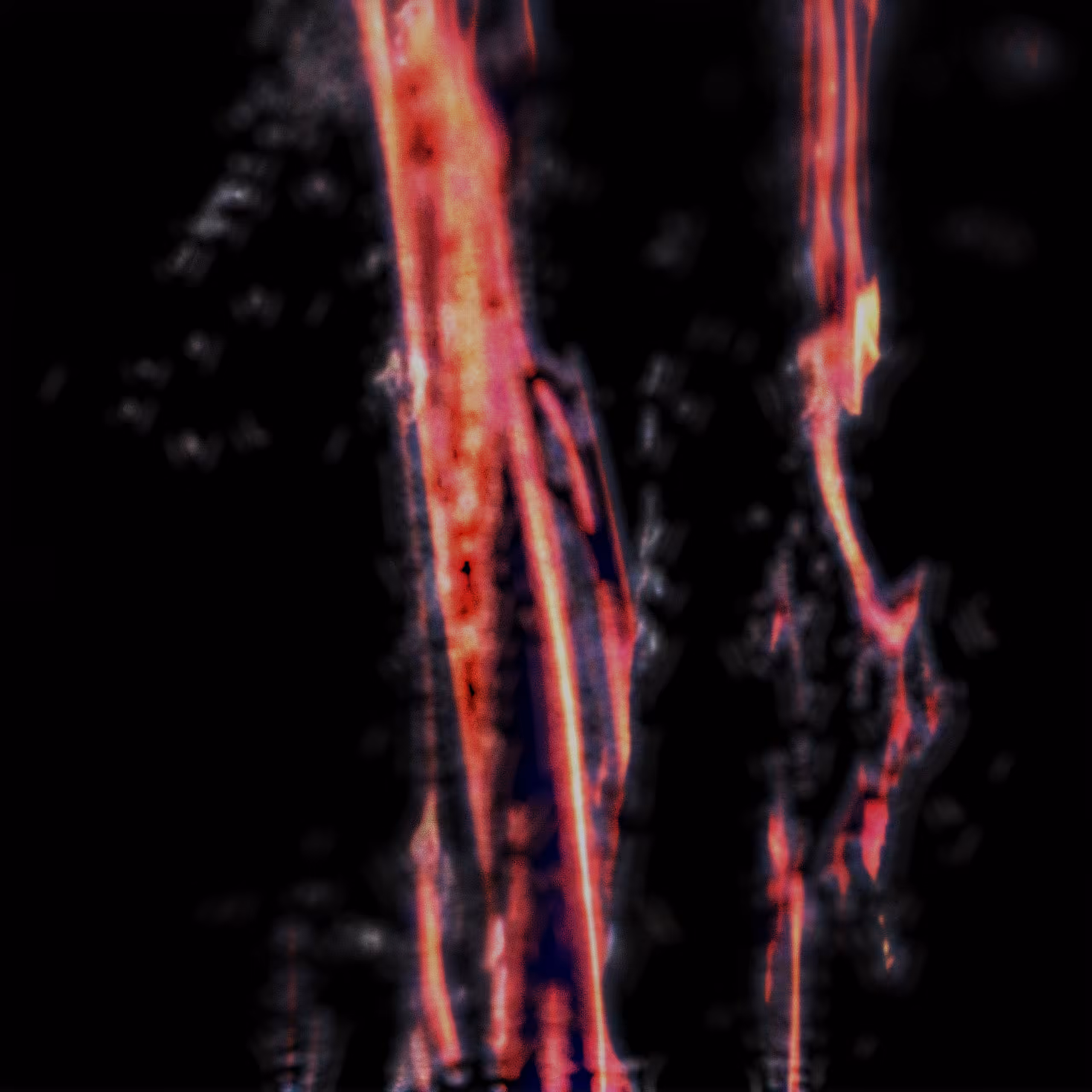 Burn Fast || Die Hard // Original